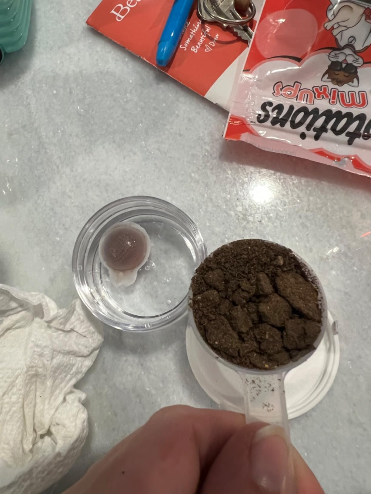 MySoil Soil Test Kit, Unlock Your Lawn & Garden Potential, Complete & Accurate Nutrient and pH Analysis with Recommendations Tailored to Your Soil and Plant Needs customer photo 1