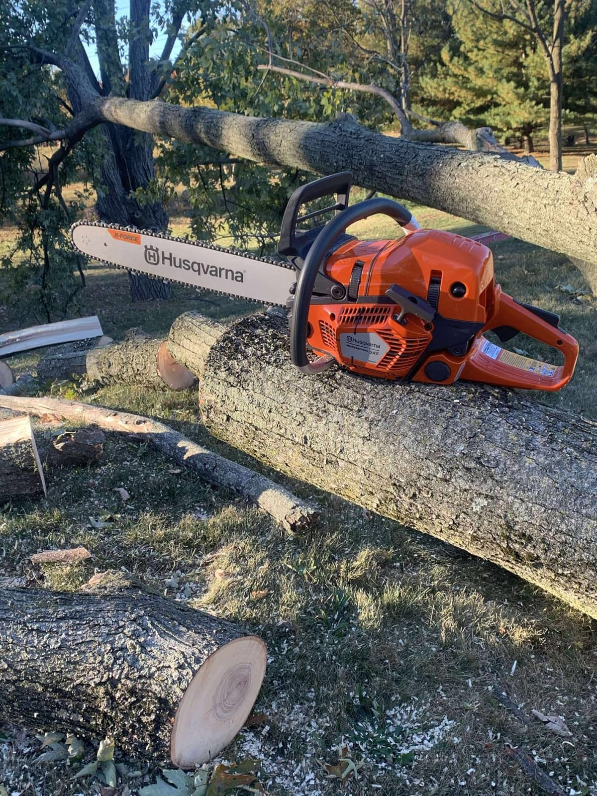 Husqvarna 545 Mark II Professional Gas Chainsaw, 20 inch, 50.1cc 3.6 HP customer photo 2