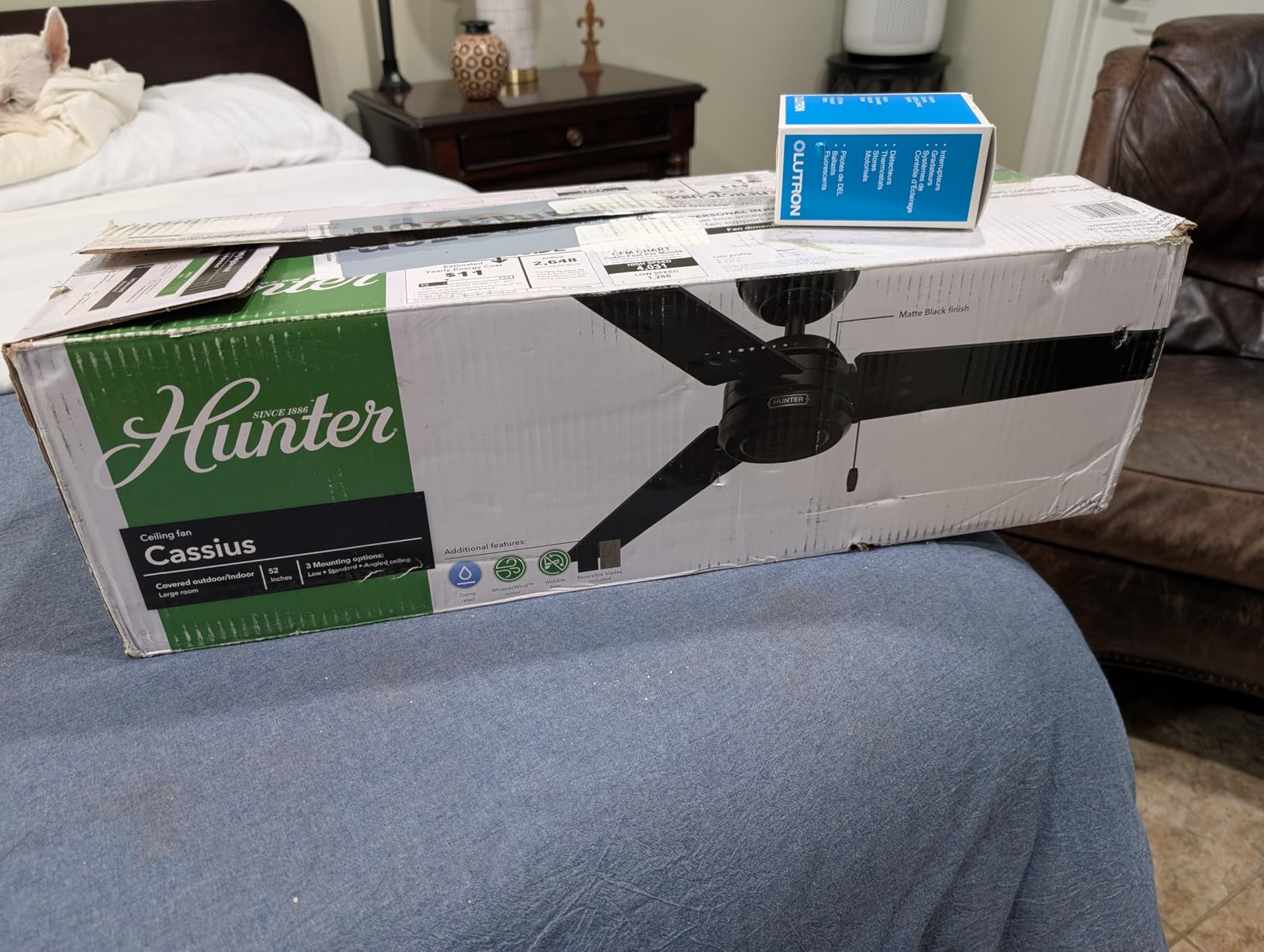 Hunter Cassius, Outdoor or Indoor, Ceiling Fan, 44 inch, Matte Black | No Light, Standard Mount, Pull Chain, 3 Blades, For Living Room, Patio, Porch, Garage, 50260 customer photo 2