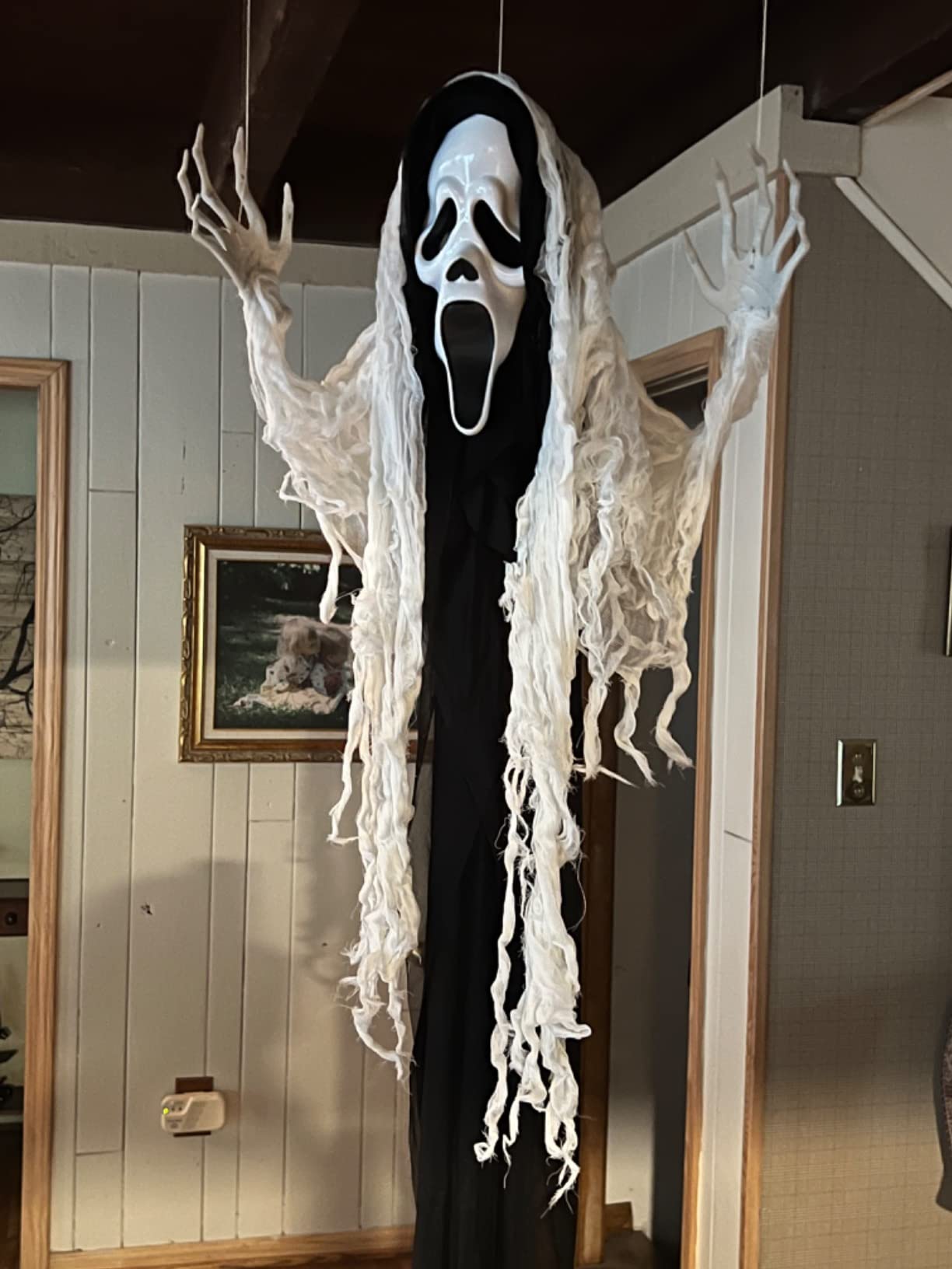Haunted Hill Farm 6-Ft Life-Size Talking Ghost Halloween Animatronic, Touch Lights and Sound, Battery Operated customer photo 2