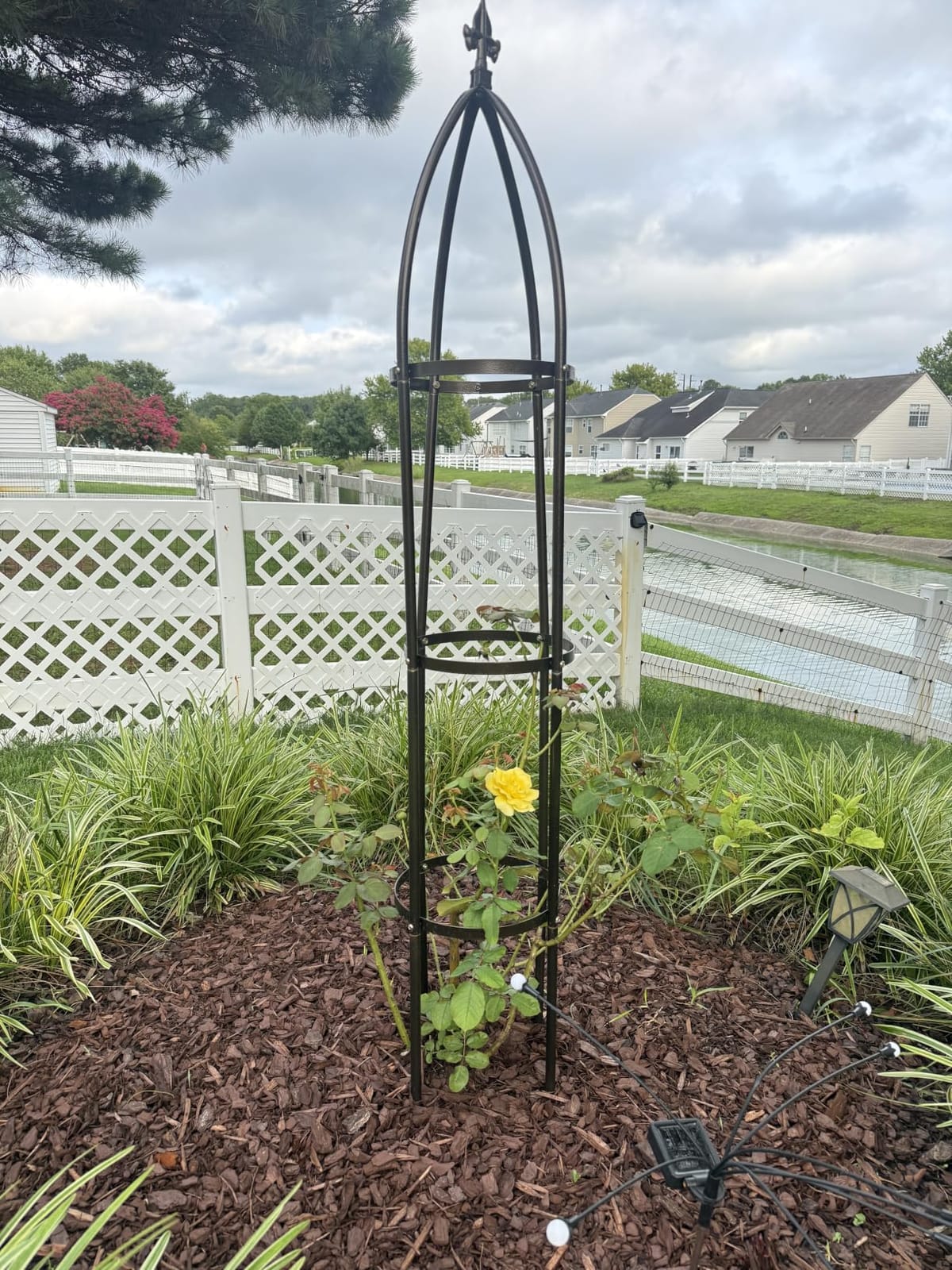 100% Metal Garden Obelisk Trellis Heavy Duty 6.3 ft Tall for Climbing Vines | Upgraded 16mm Thick Steel Tubes Rustproof Bronze Tower, 4.9lb Tall Plant Support Stands for Flowers, Roses, Clematis & Tomato customer photo 2