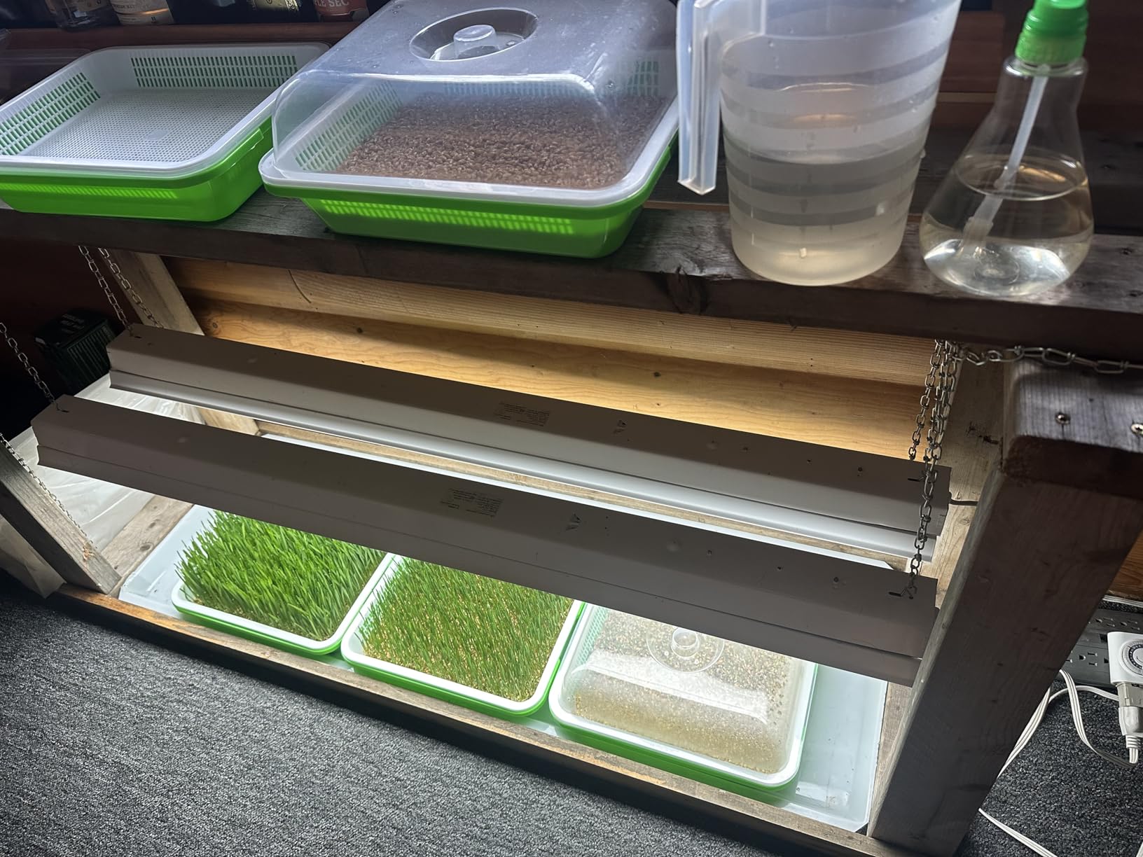 Legigo 5 Pack Seed Sprouter Trays with Lids- Soil-Free Cultivation Germination Tray, BPA Free Micro Greens Growing Trays Seed Sprouting Trays Kit with Germinating Paper for Wheatgrass, Beans and More customer photo 1