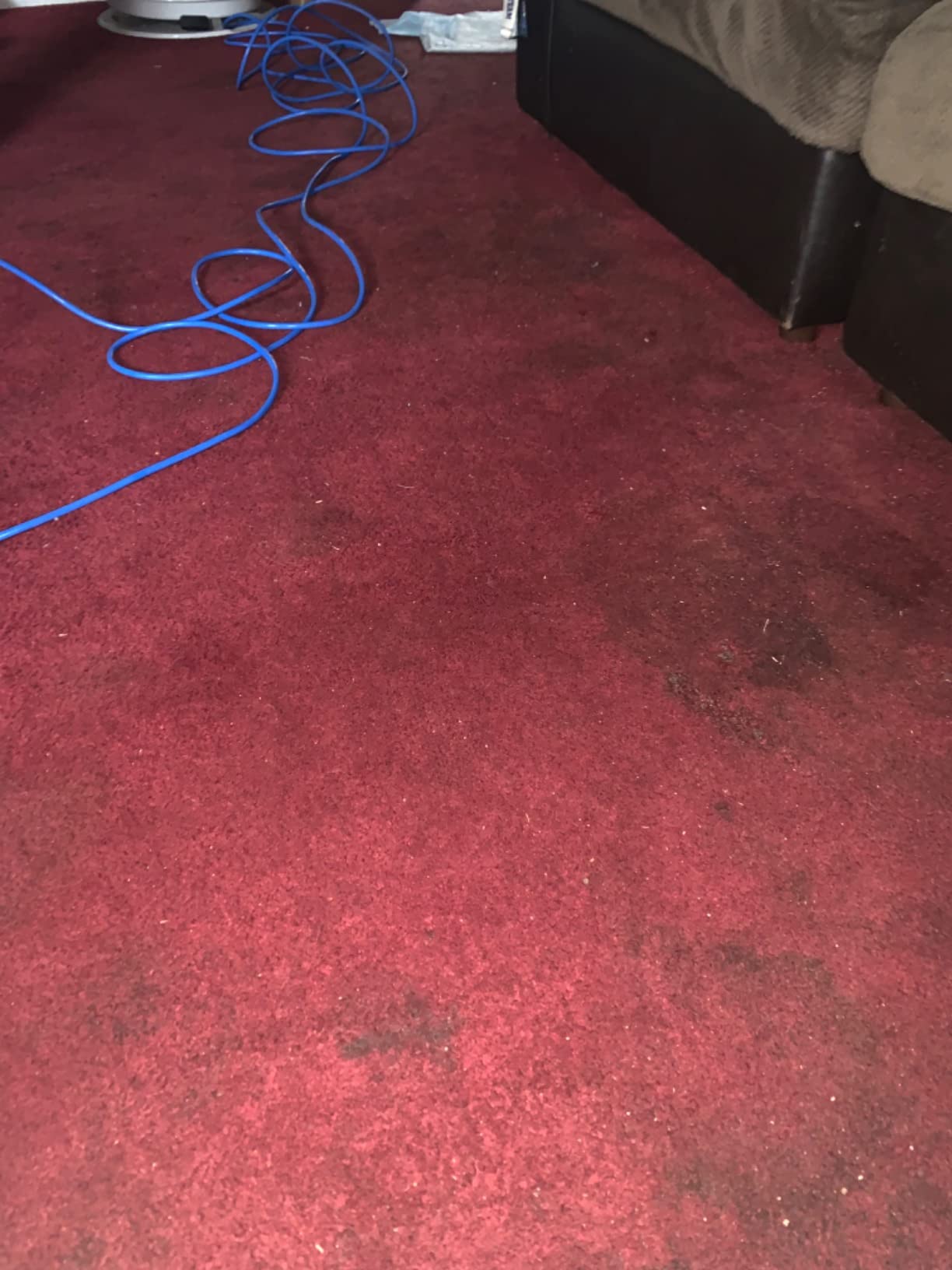 Prolux Core Heavy Duty 15 inch Floor Buffer Scrubber and Polisher Cleaning Machine - All floor surfaces customer photo 1