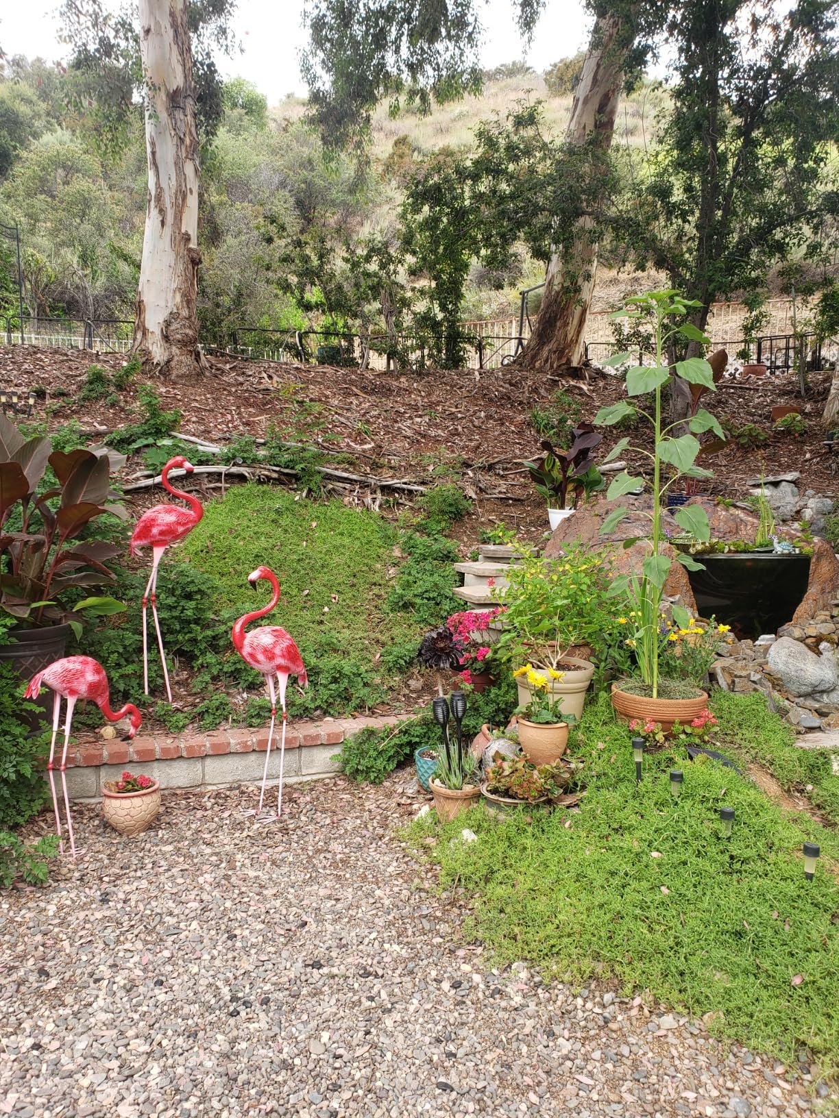 DreamsEden Large Flamingo Garden Statues Set of 3, Outdoor Metal Flamingo Sculptures Yard Art for Lawn Patio Decor, Pink Red Bird Ornaments (47.6 x 42.5 x 26.9 Inch) customer photo 1