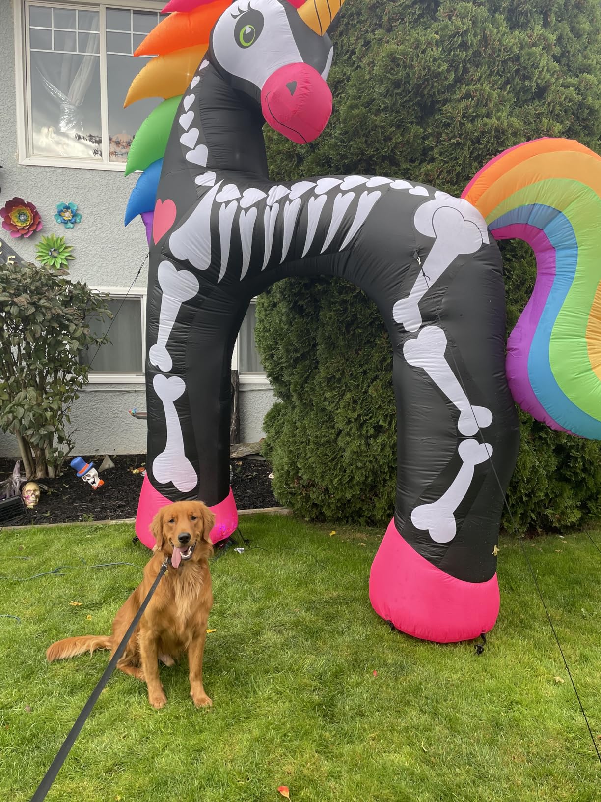 11FT Giant Halloween Inflatables Arch, Rainbow Skeleton Unicorn Decoration with Built-in 7 Bright LED Light customer photo 1