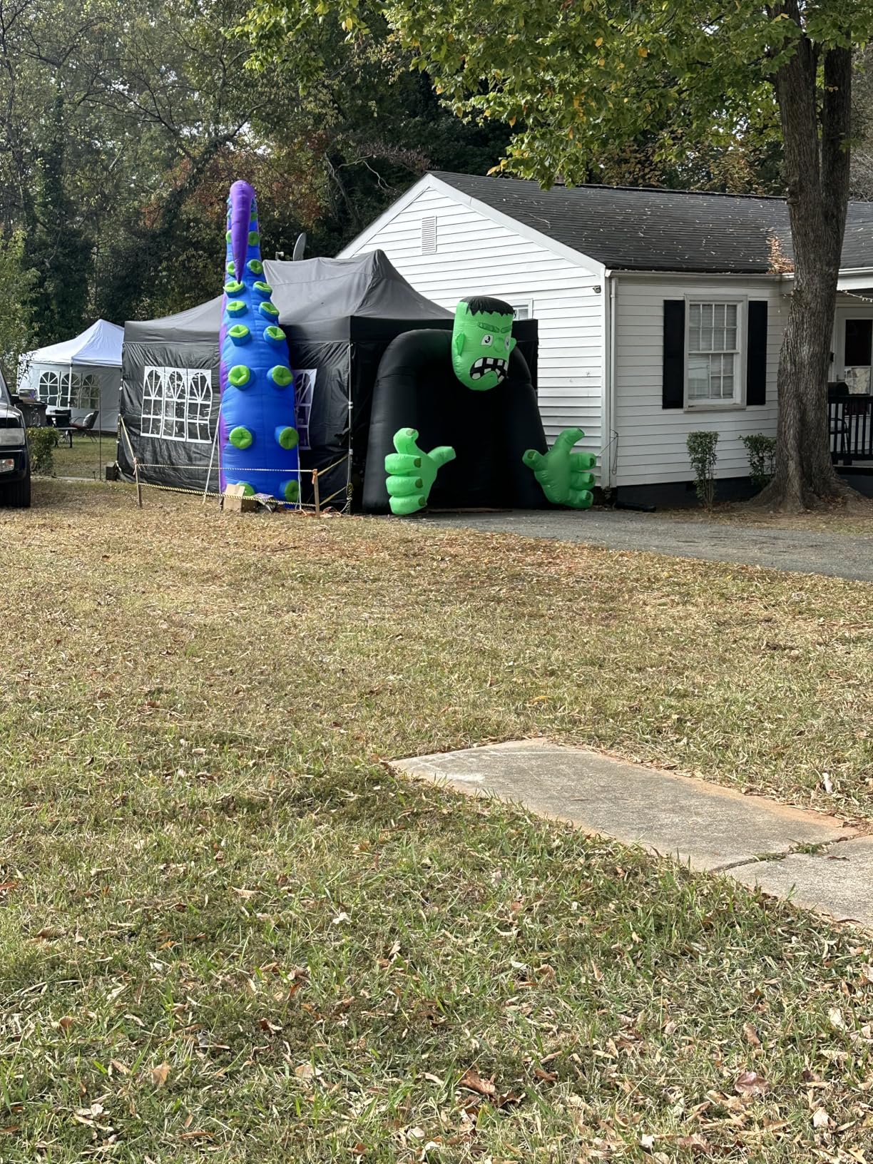 9FT Tall Halloween Inflatables Archway Frankenstein Outdoor Decoration, Blow Up Frankenstein Inflatables Arch Built-in 5 Led Lights for Halloween Inflatables Outdoor Yard Decoration customer photo 2
