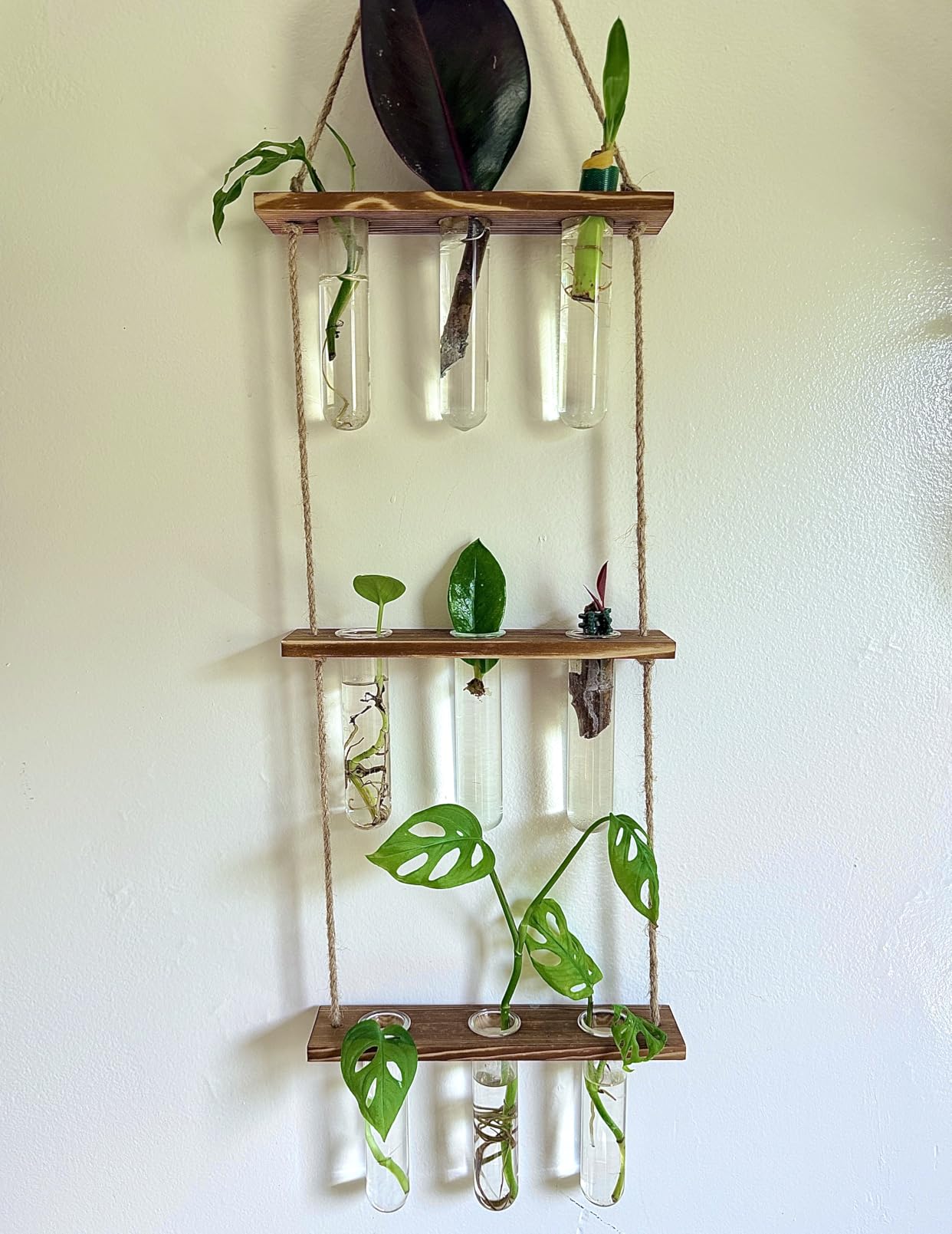 XXXFLOWER Wall Hanging Propagation Station with Wooden Stand, 9 Glass Test Tubes Tiered Planters Wall Terrarium for Home Office Hydroponic Cuttings customer photo 2
