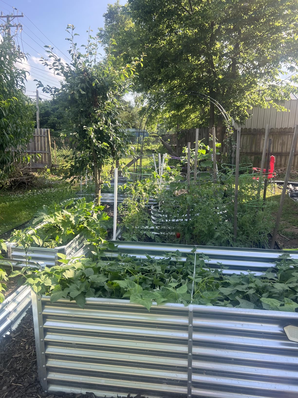 Land Guard 8×4×2 ft Galvanized Raised Garden Bed Kit, Galvanized Planter Raised Garden Boxes Outdoor, Large Metal Raised Garden Beds for Vegetables customer photo 1