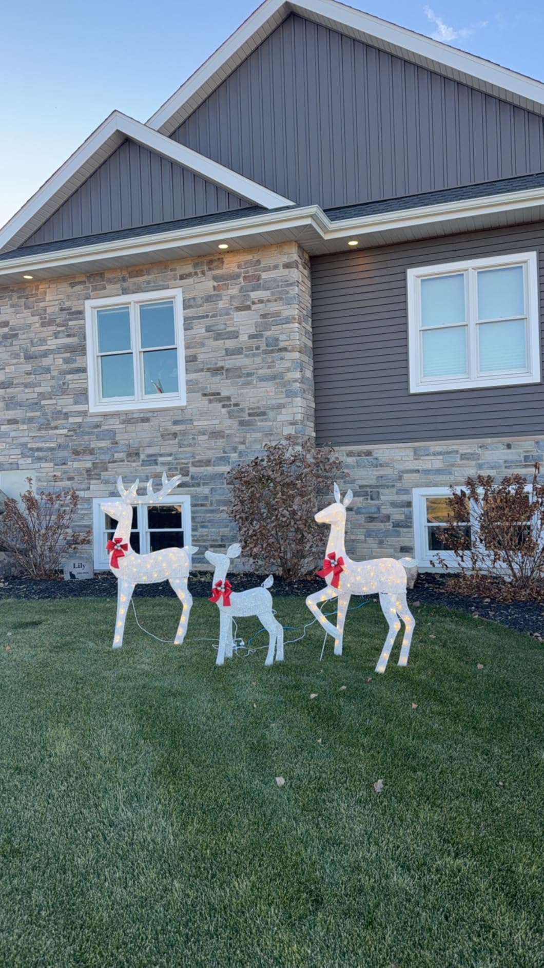 Best Choice Products 3-Piece Large Lighted Christmas Deer Family Set 5Ft Outdoor Yard Decoration with 360 LED Lights, Stakes, Zip Ties - White customer photo 2