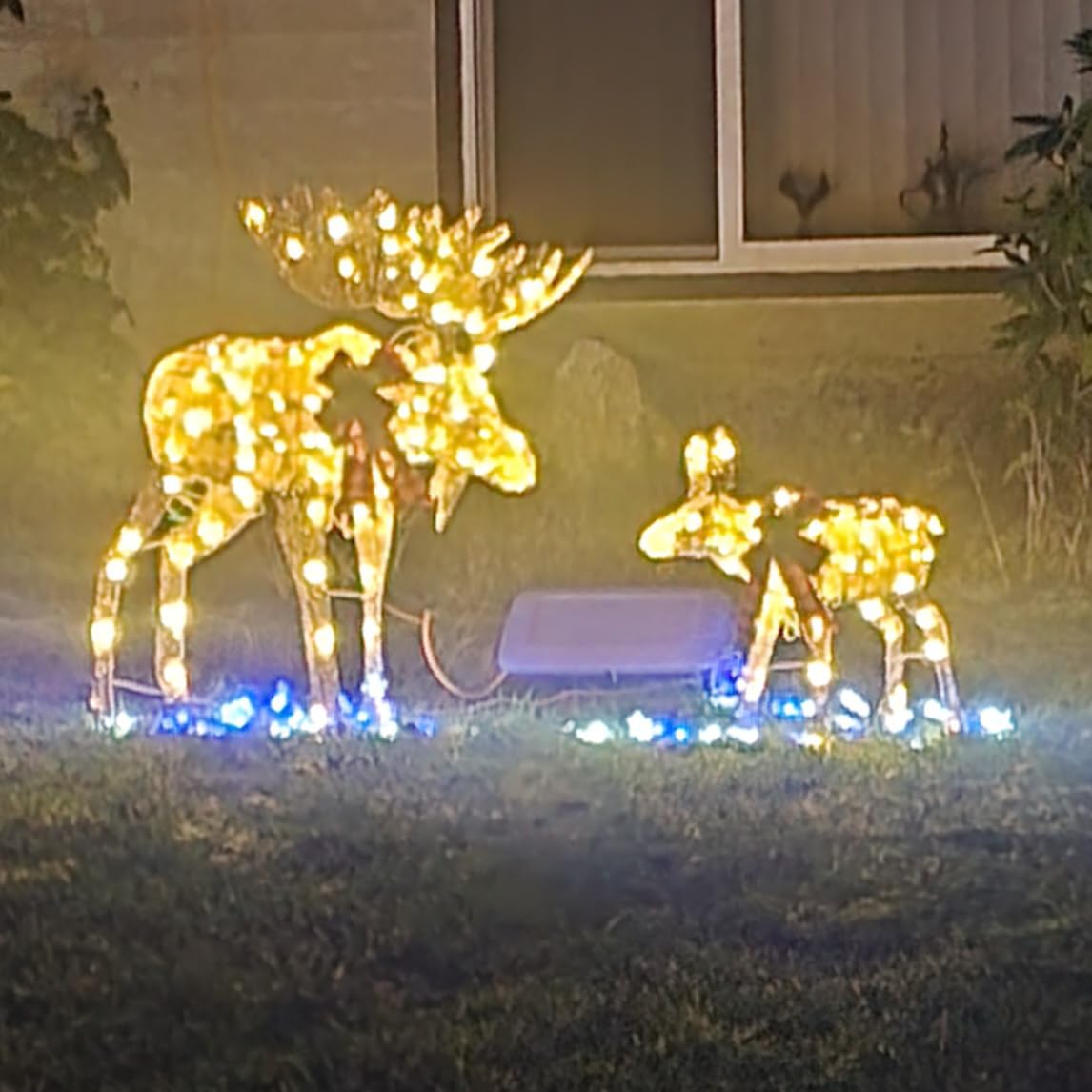 Best Choice Products 2-Piece Moose Family, Lighted Outdoor All-Weather Christmas Yard Decoration Light-Up Décor Set w/ 170 LED Lights, Ground Stakes, Zip Ties - Gold customer photo 1