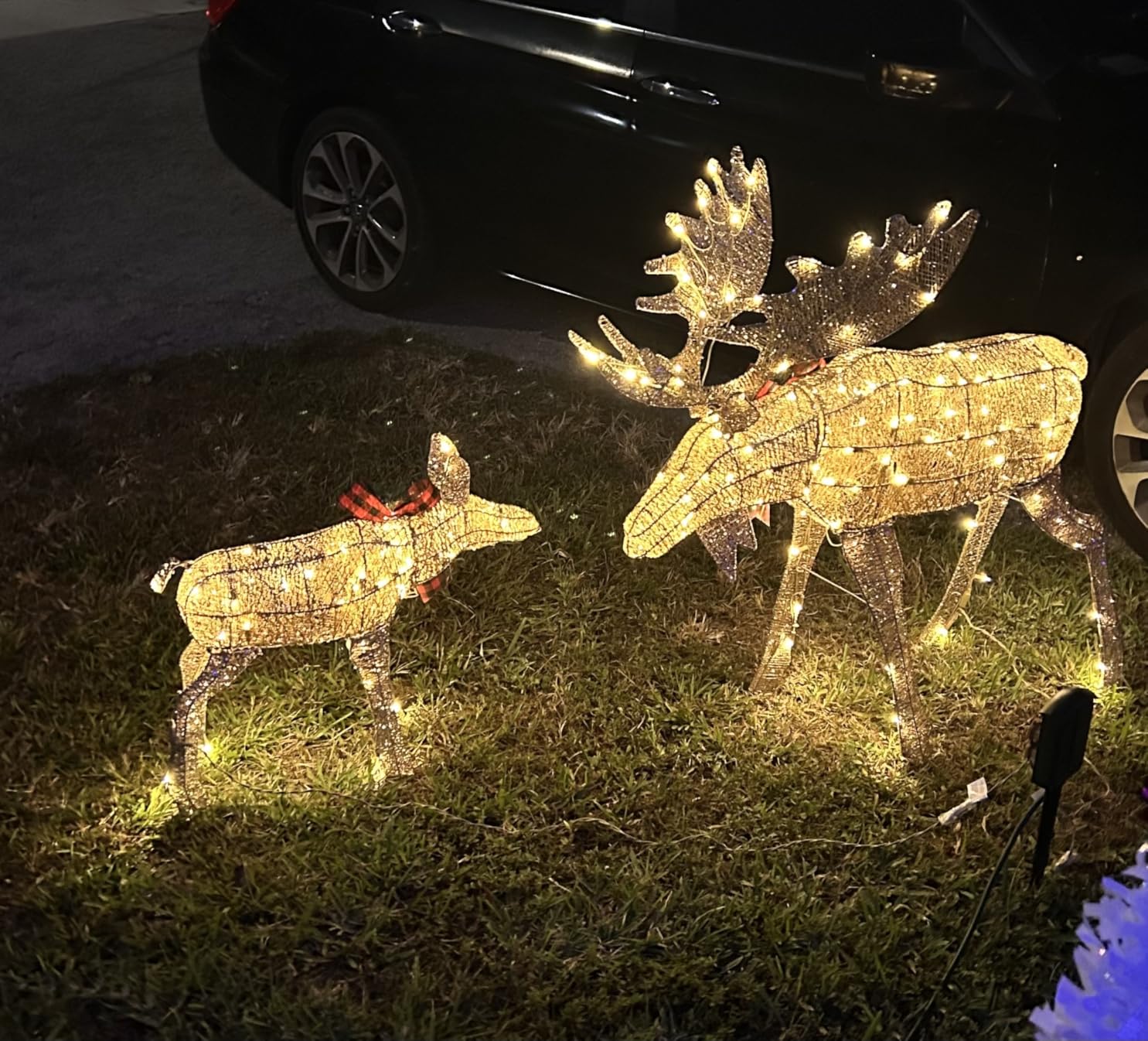 Best Choice Products 2-Piece Moose Family, Lighted Outdoor All-Weather Christmas Yard Decoration Light-Up Décor Set w/ 170 LED Lights, Ground Stakes, Zip Ties - Gold customer photo 2