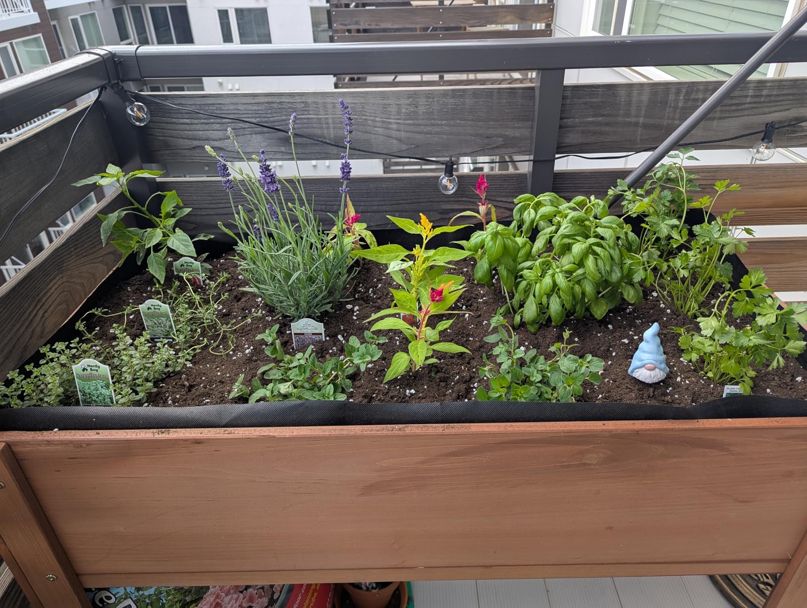 48×24×30 Raised Garden Bed with Legs, Cedar Wood Elevated Planter Box | More Growing Space, Natural Cedar Wood, Drainage Holes & Liner, Ideal for Patios & Gardens, Ergonomic Height customer photo 1