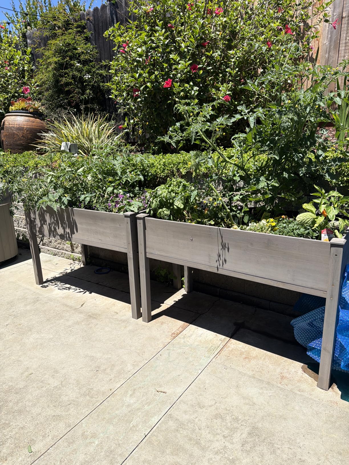48×24×30 Raised Garden Bed with Legs, Cedar Wood Elevated Planter Box | More Growing Space, Natural Cedar Wood, Drainage Holes & Liner, Ideal for Patios & Gardens, Ergonomic Height customer photo 2