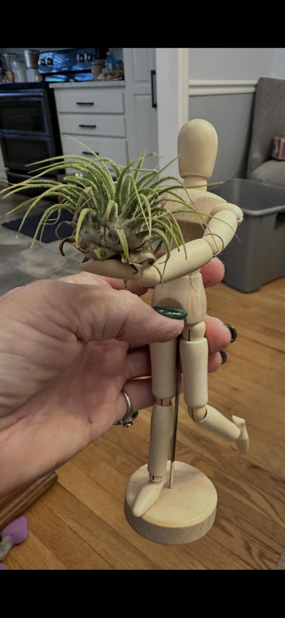 ANPHSIN 4 Pcs 8.6'' Wooden Air Plant Holder - Unique Jointed Mannequin Airplant Stand with Adjustable Poses, Tillandsia Display Container for Home Office Decoration Housewarming Gift customer photo 1