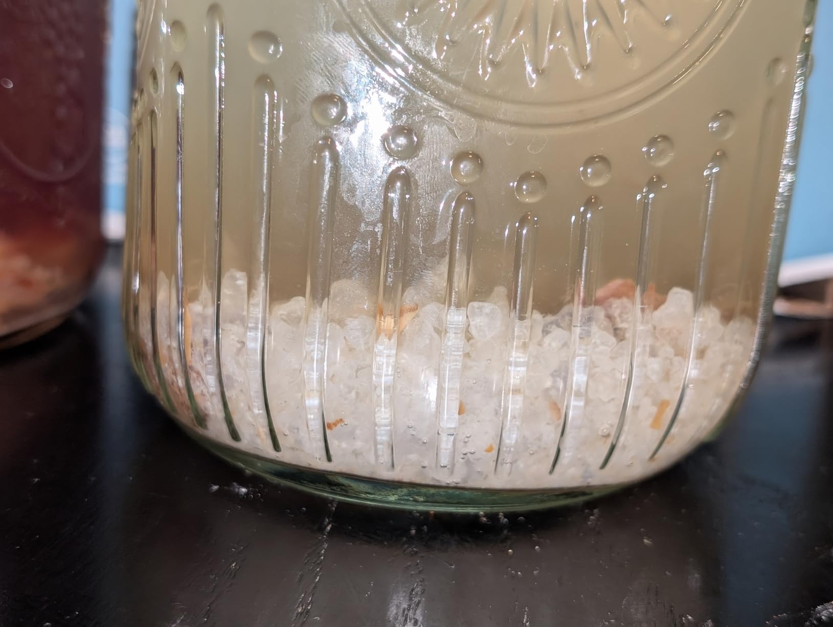 Natural Probio Water Kefir Grains - Starter Culture Kit - Fruit Kefir + Complete Guide, Recipe & Tips + Ebook Library Access + Customer Support (0.35 oz dehydrated / 2.12 oz rehydrated) customer photo 1