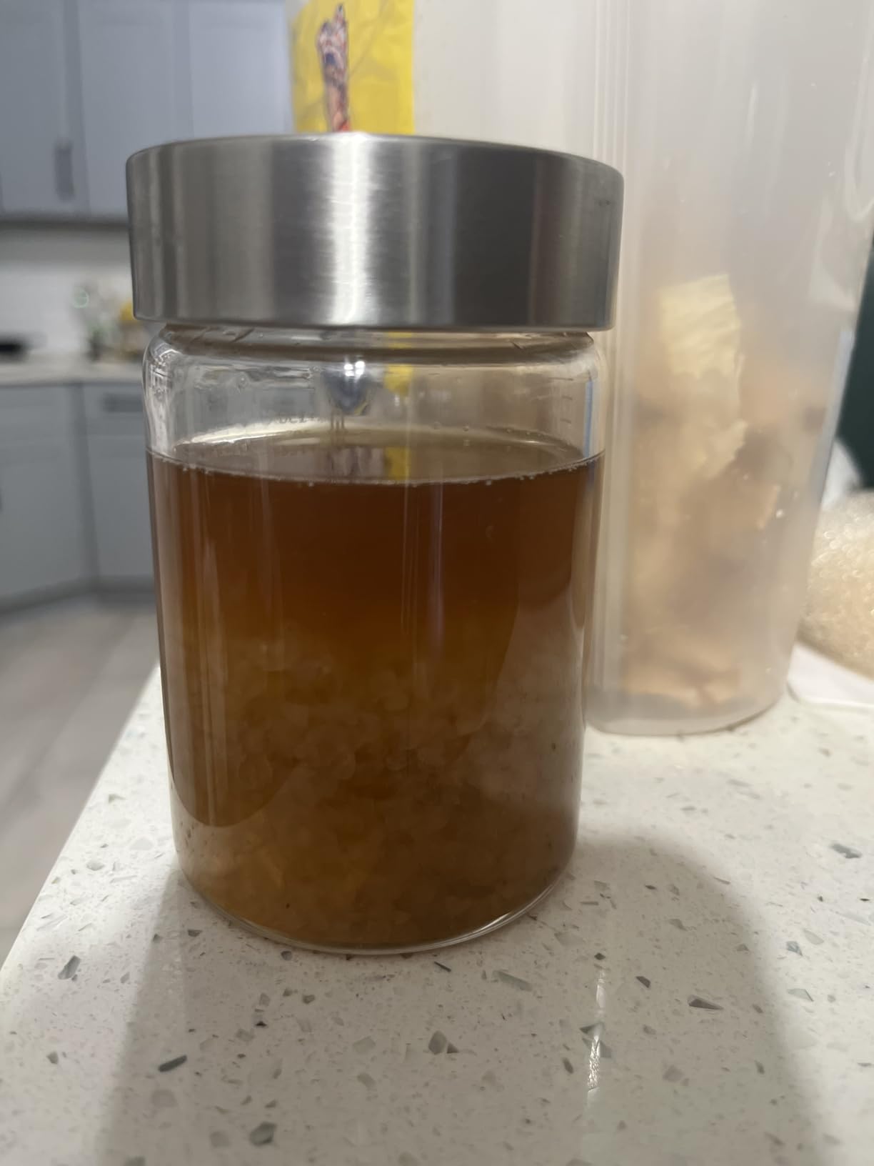 Natural Probio Water Kefir Grains - Starter Culture Kit - Fruit Kefir + Complete Guide, Recipe & Tips + Ebook Library Access + Customer Support (0.35 oz dehydrated / 2.12 oz rehydrated) customer photo 2