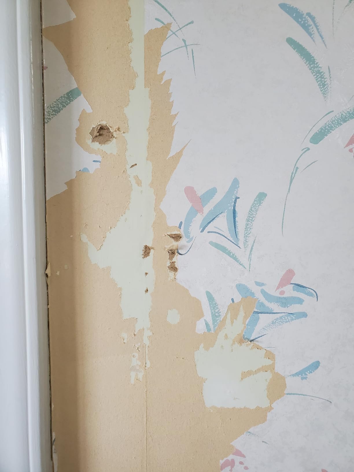 Wagner Spraytech 725 Wallpaper Steamer for Easy Removal, 2 Steam Plates customer photo 1