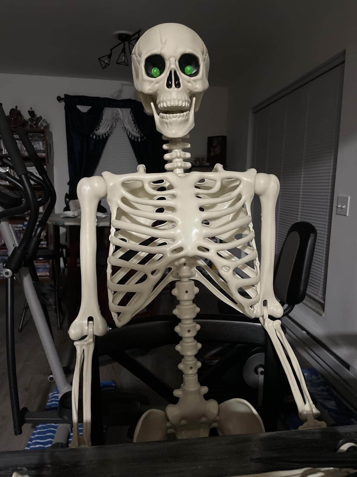WODMAZ 5 Packs Halloween Skeletons, 16