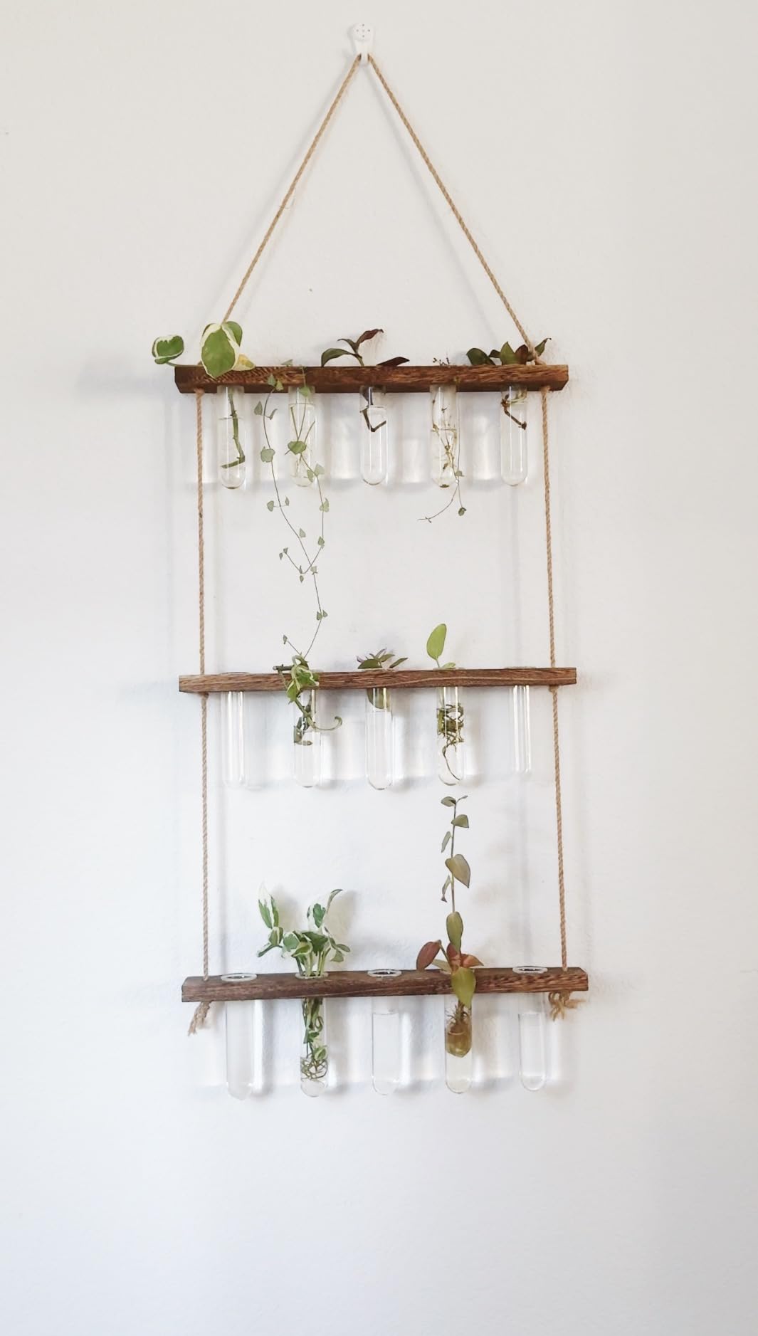 YIBOT Plant Propagation Glass Test Tubes Accessories | Tiered Planters Wall Terrarium for Home Office Plant Hanger Flower Vases Wall Decor Hydroponic Cuttings (5 Tube Vases) Clear customer photo 2