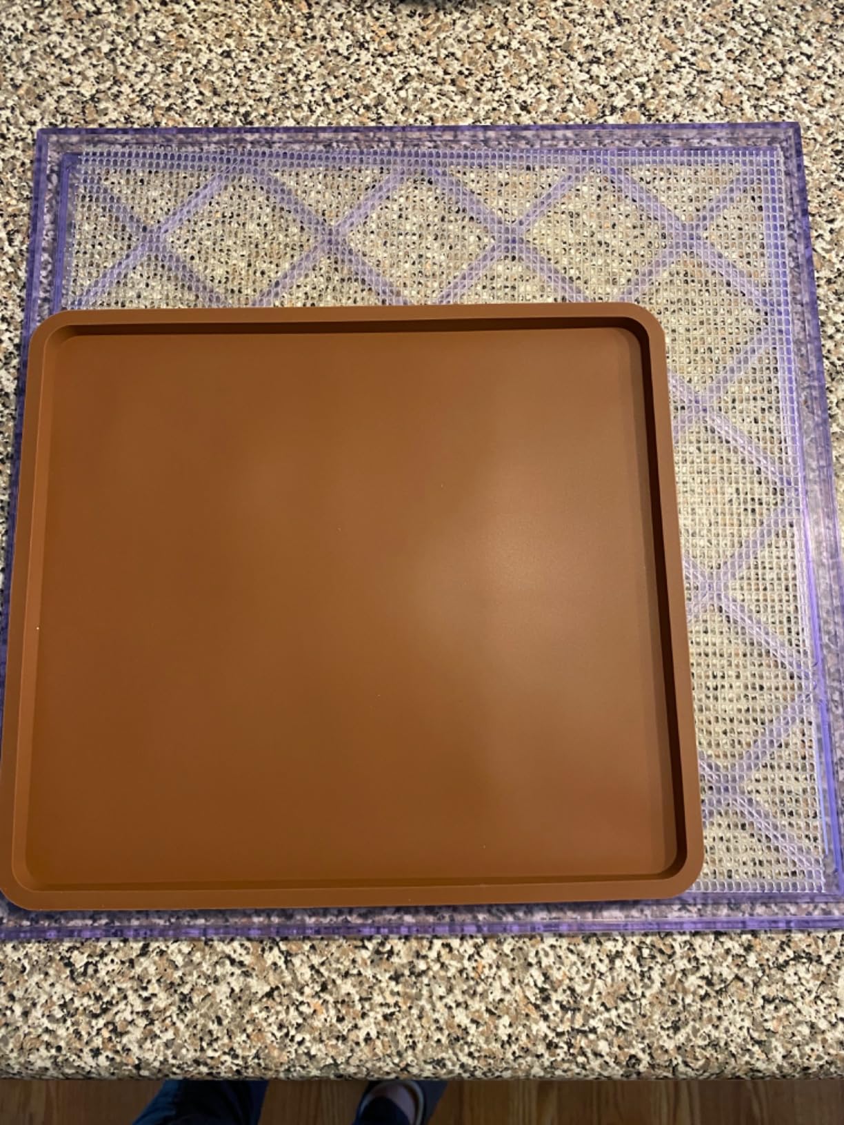 6 Pack Silicone Dehydrator Trays Compatible with Cosori CP267-FD, Nonstick Silicone Drye Sheets with Edge, Multi-purpose Reusable for Jerky, Fruit, Meat, Herbs, Vegetables, Crackers customer photo 2