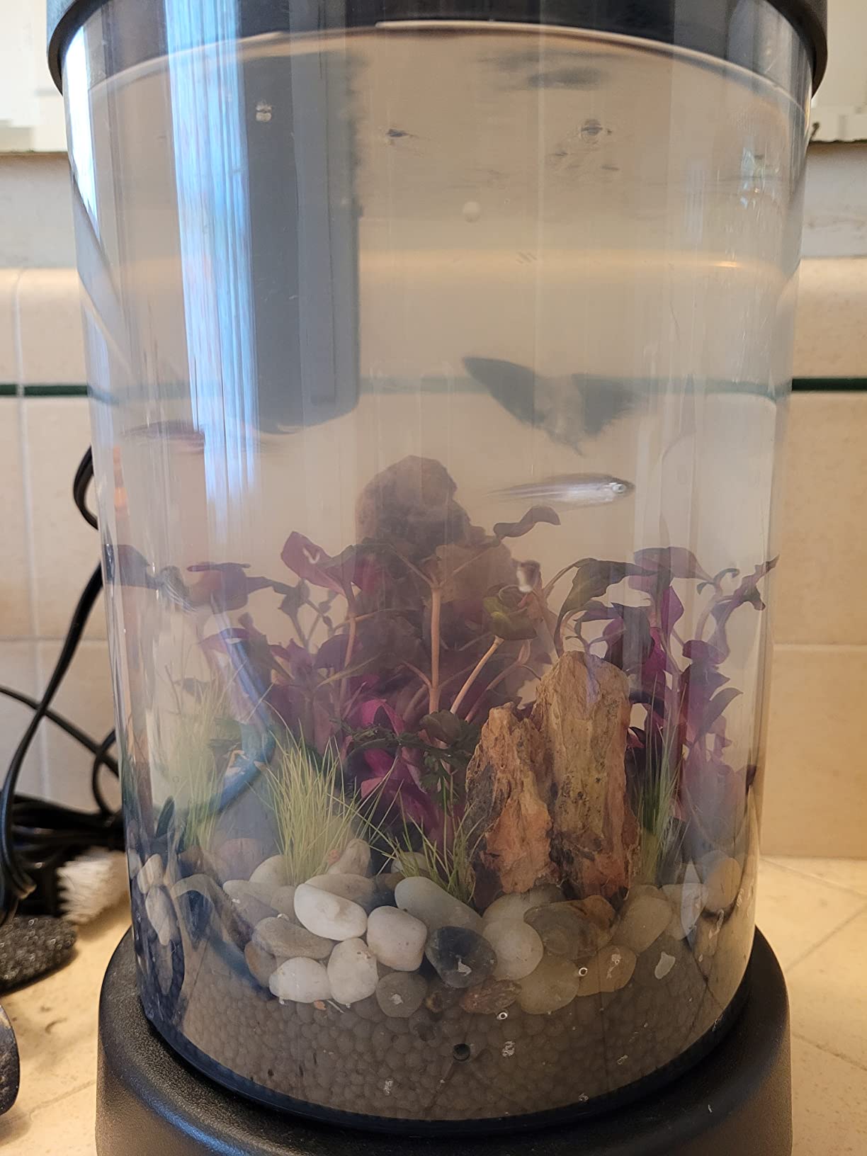 Small Dragon (Ohko) Stone (1 lb) Aquarium Decoration Aquascaping Rock customer photo 1