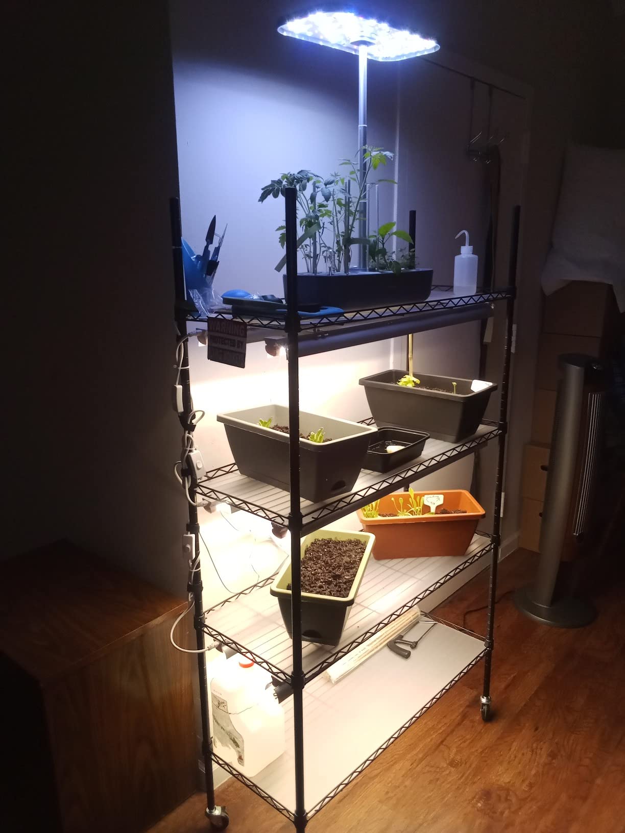 Monios-L Plant Stand with Grow Lights for Seedlings, 4-Tier Metal Shelf with Plant Lighting for Seed Starting, Full Spectrum 180W T8 5000K White, Adjustable Rack for Indoor Plants, (35x14x61IN, Black) customer photo 2
