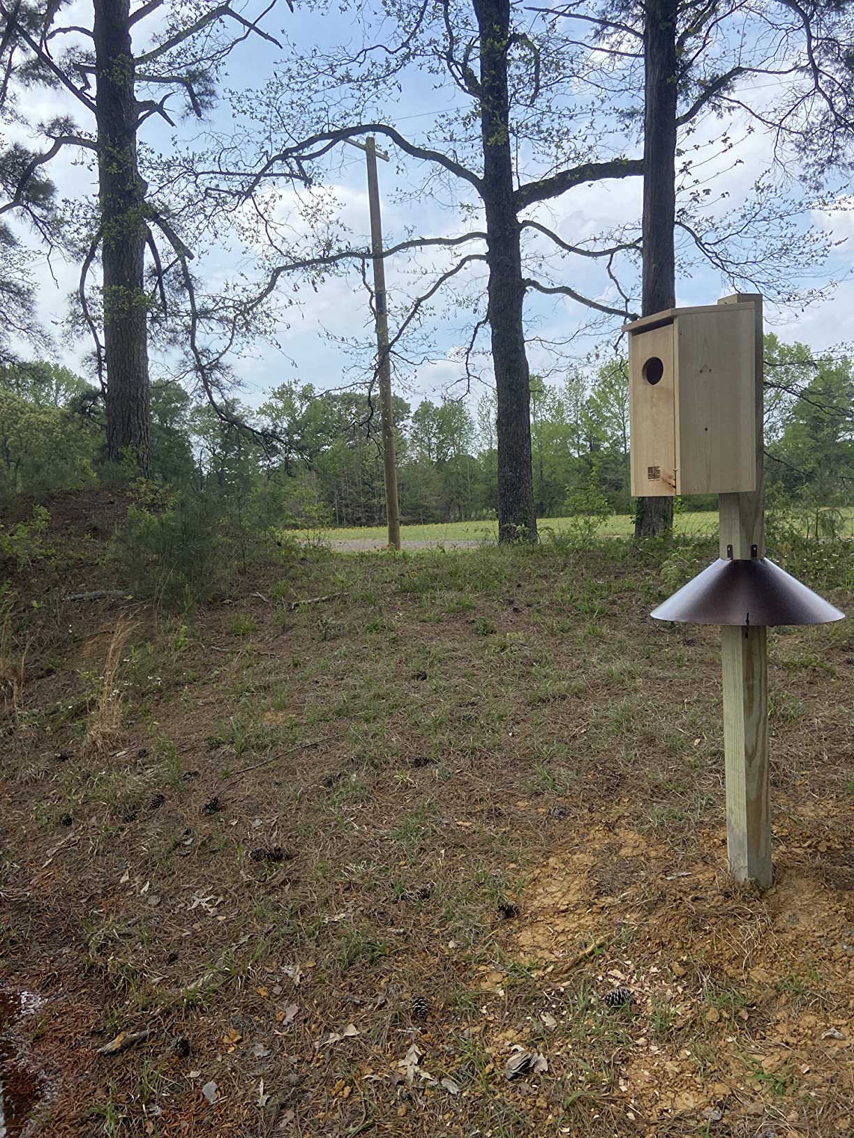 Made in USA, Premium Pine Wood Duck House, Ready to Install Nesting Box for Wood Ducks and Hooded Mergansers customer photo 1