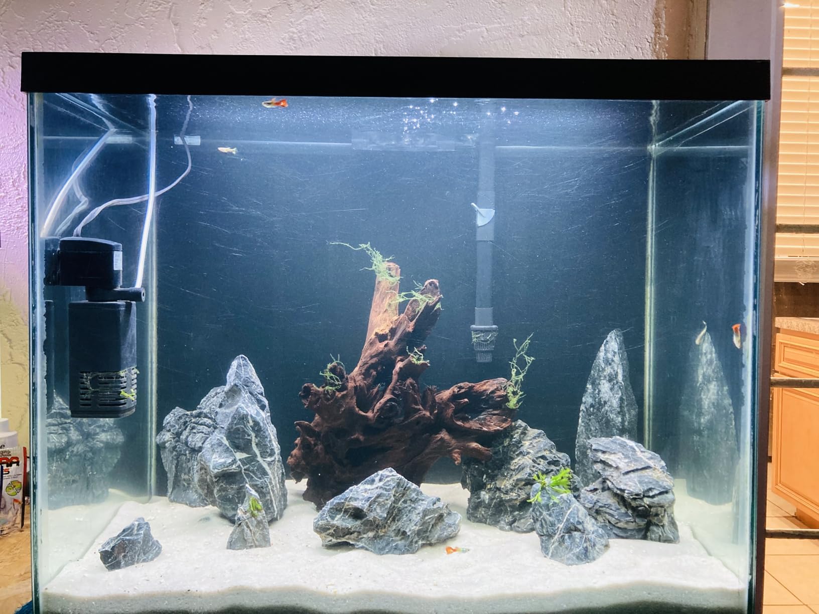 Voulosimi Natural Slate Rocks PH Neutral Stone Perfect Rocks for Aquariums, Landscaping Model, Tank Decoration, Amphibian Enclosures (3.5 LB, 3-5 inch) customer photo 1