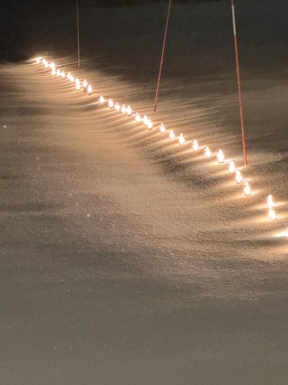 C9 Christmas Lights Outdoor, 51.4 Ft 40 Bulbs Christmas Pathway Lights Clear | C9 String Lights with Stakes, Connectable Waterproof Walkway Lights for Christmas Decorations on Driveway, Sidewalk and Yard customer photo 1