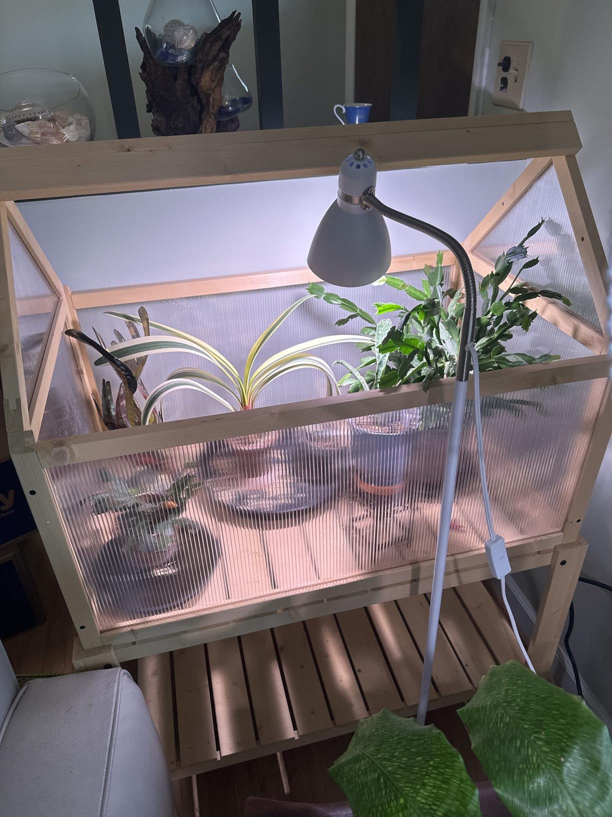 MCombo Cold Frame Greenhouse, Portable Wooden Greenhouse Raised Potted Plant Protection Box with Shelf for Outdoor Indoor Use, 0266 (Natural) customer photo 1