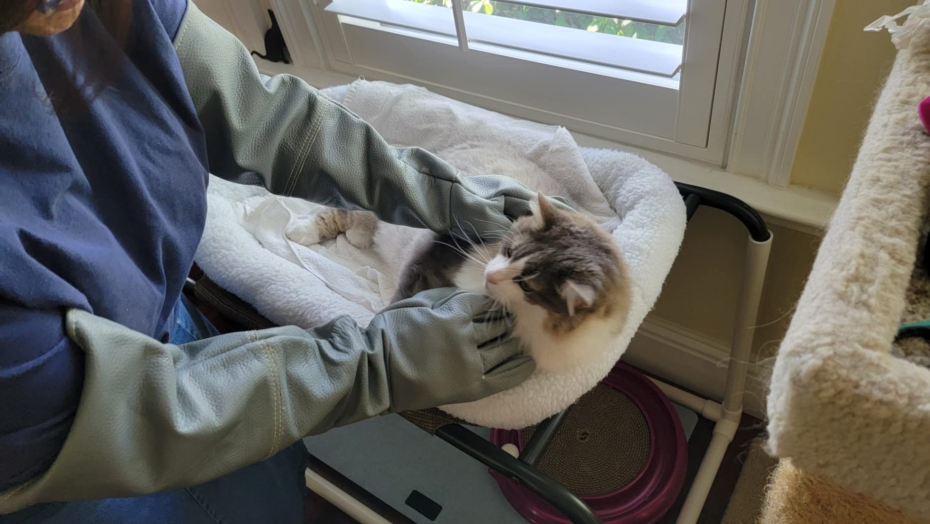Animal Handling Gloves Bite Resistant, 60cm/ 23.6In Bite Proof Glove for Welding, Gardening, Handling Cat/Dog/Bird/Snake/Lizard/Falcon/Reptile, Anti-Bite Work Gloves customer photo 1