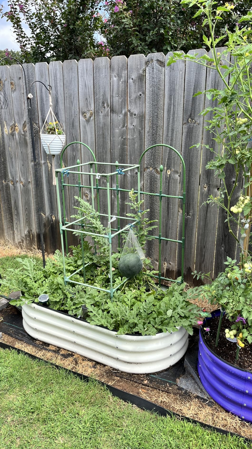 Galvanized Raised Garden Bed, 4x2x1ft Oval Metal Planter Box for Planting Outdoor Plants Vegetables customer photo 1
