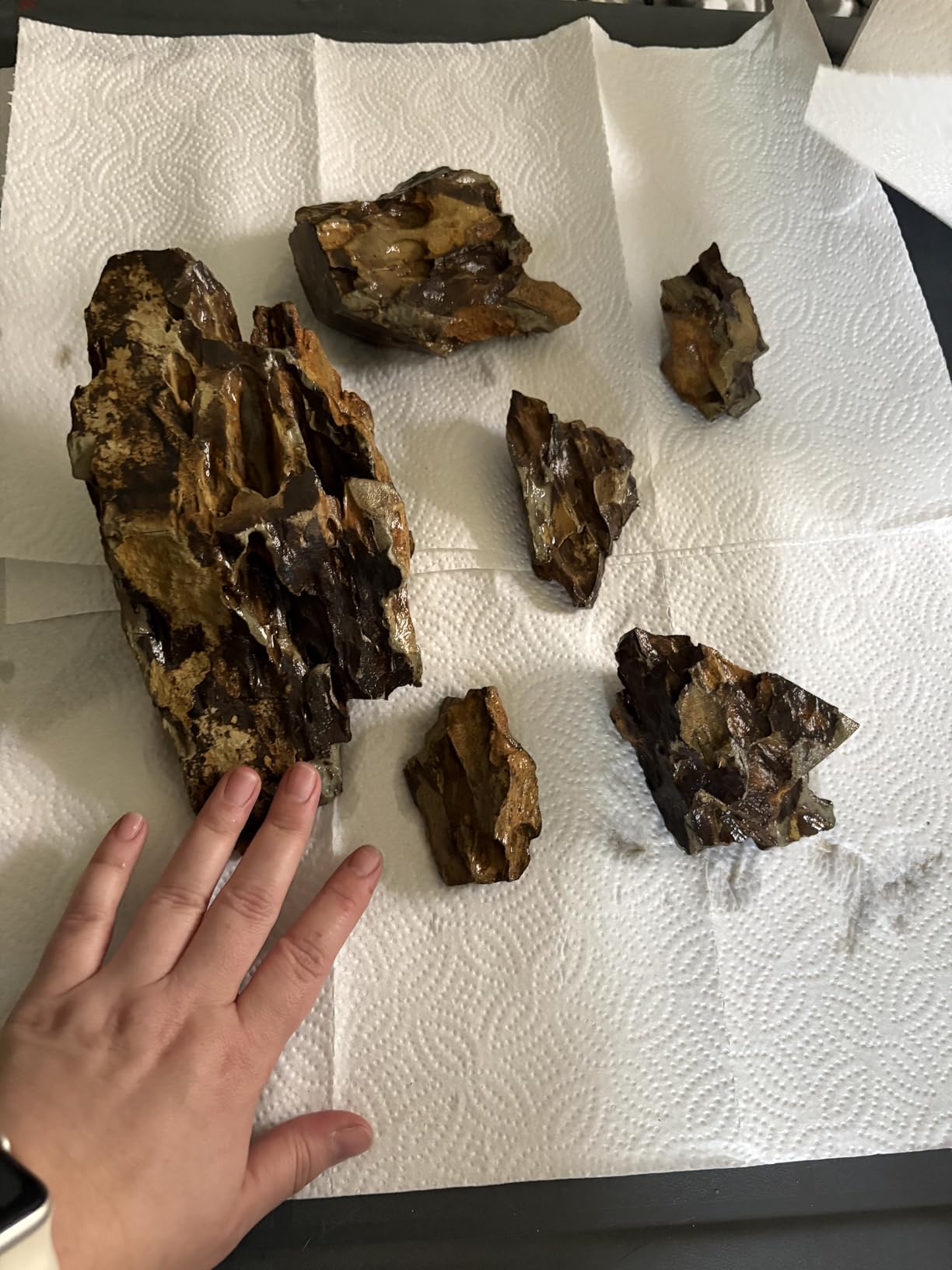 AWXZOM Natural Dragon Rock Carefully Selected Mixed Sizes, Decorative Aquarium Rocks, Aquarium Stones for Fish Tank (4.4lb) customer photo 2