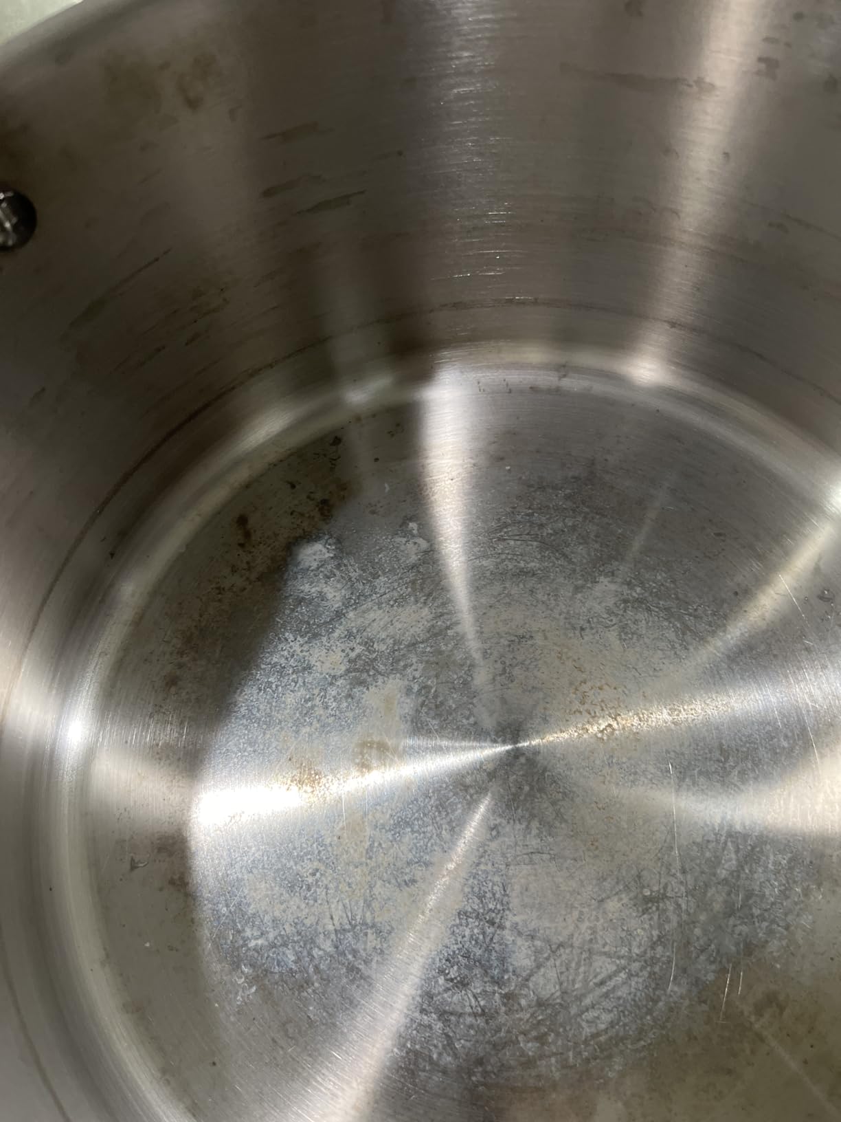 Made In Cookware - 6 Quart Stainless Steel Stock Pot With Lid - 5 Ply Stainless Clad - Professional Cookware - Crafted in Italy - Induction Compatible customer photo 1