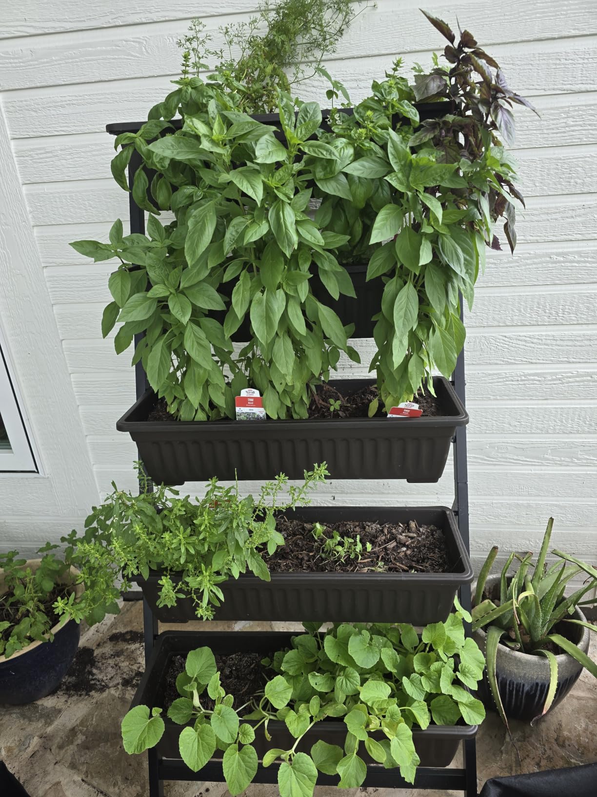 TOREVSIOR 5-Tier Vertical Raised Garden Bed, Vertical Garden Planter with Water Drainage, Elevated Garden Bed for Vegetables Flowers Herbs Indoor Outdoor customer photo 1