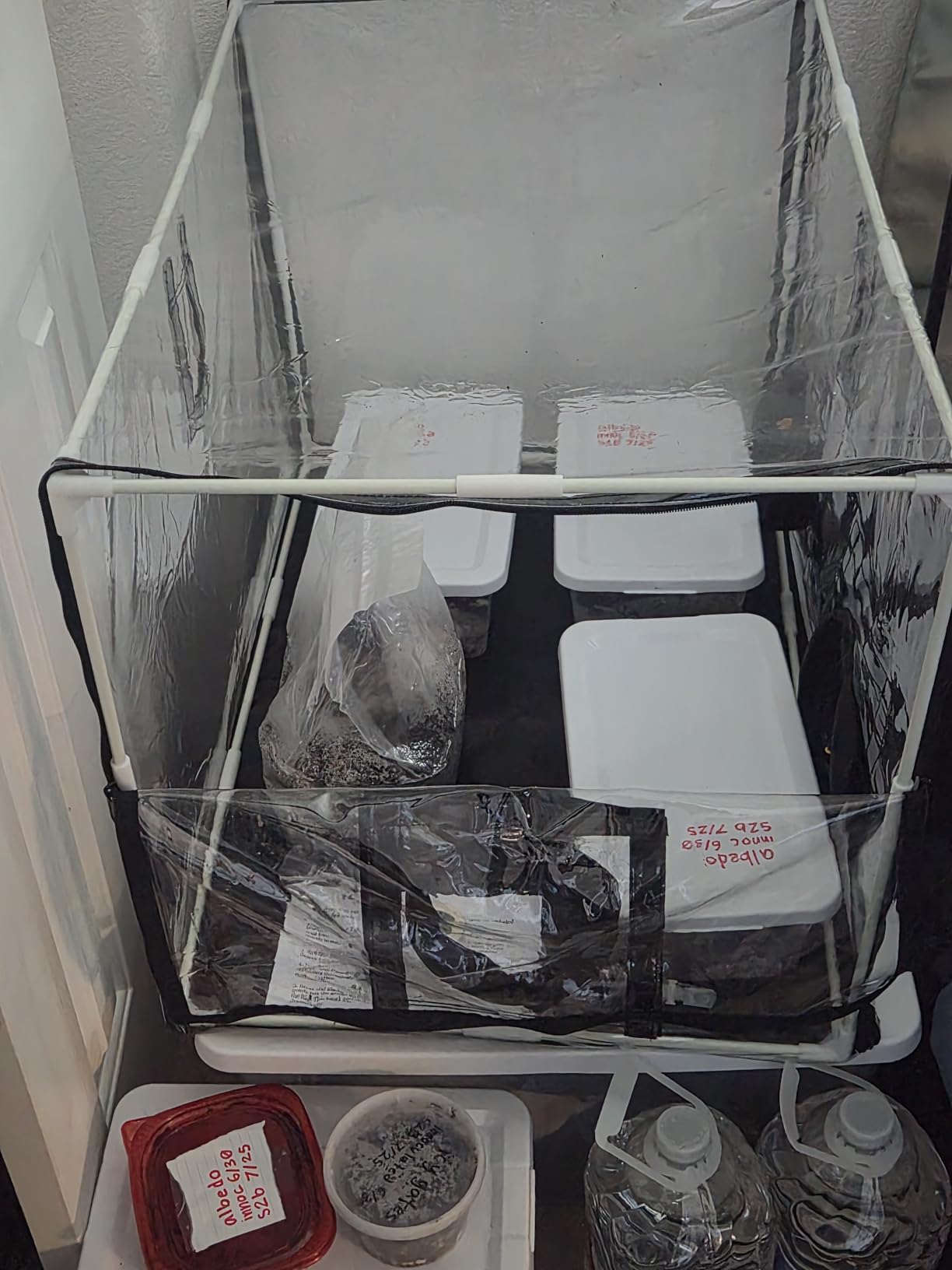 Large Still Air Box Mushroom Mycology Fume Hood Propagation StationsGrow Kit Mushroom Grow Bags Your Monotub Kit Mushroom Planting BagTent for Spores Horticulture Supplies (31.5 * 20.5 * 20.5inch) customer photo 1