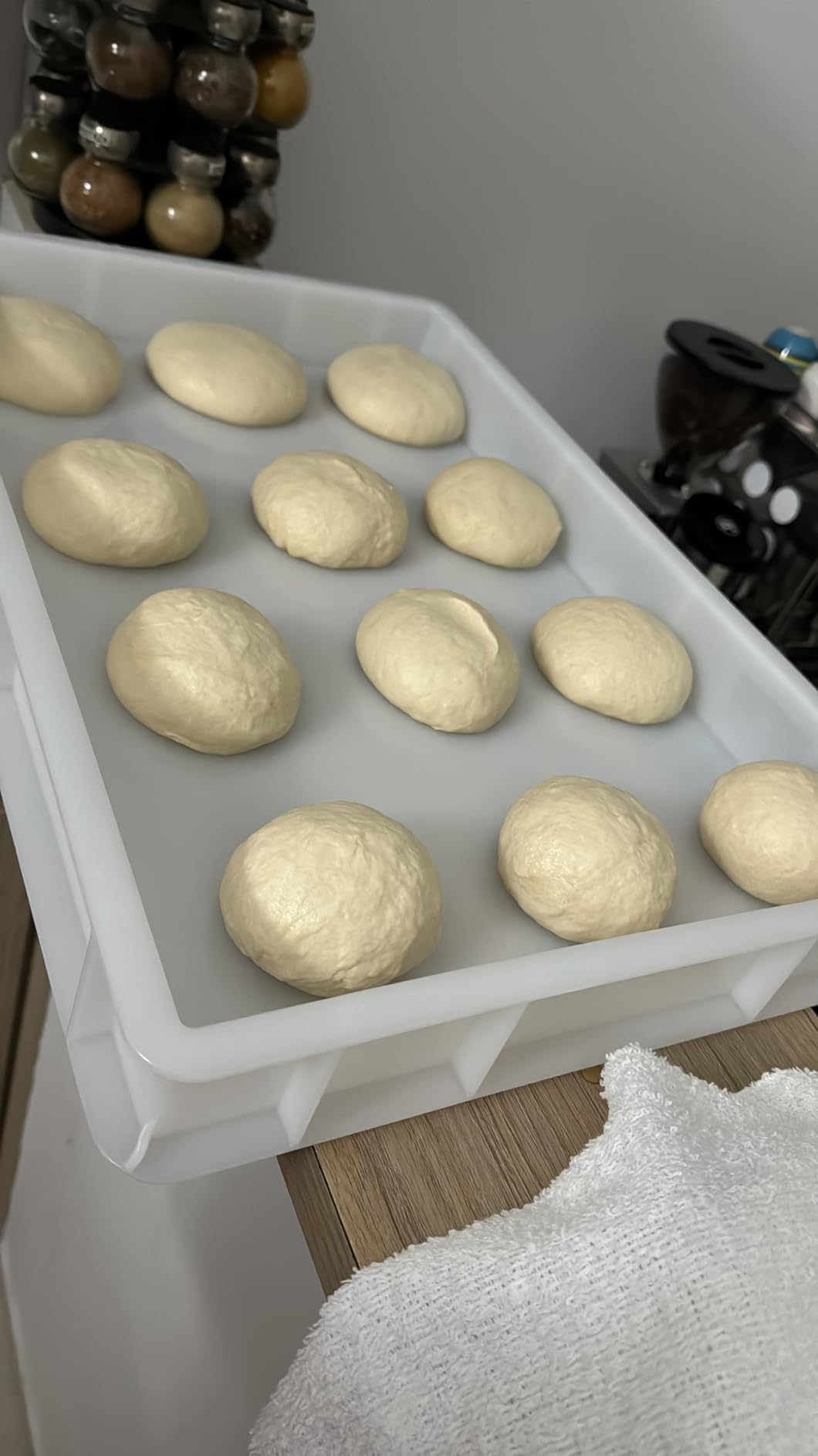 L'Oro Del Sud Commercial Dough Proofing Box Tray with Lid, White, 5 Pack | 23.6