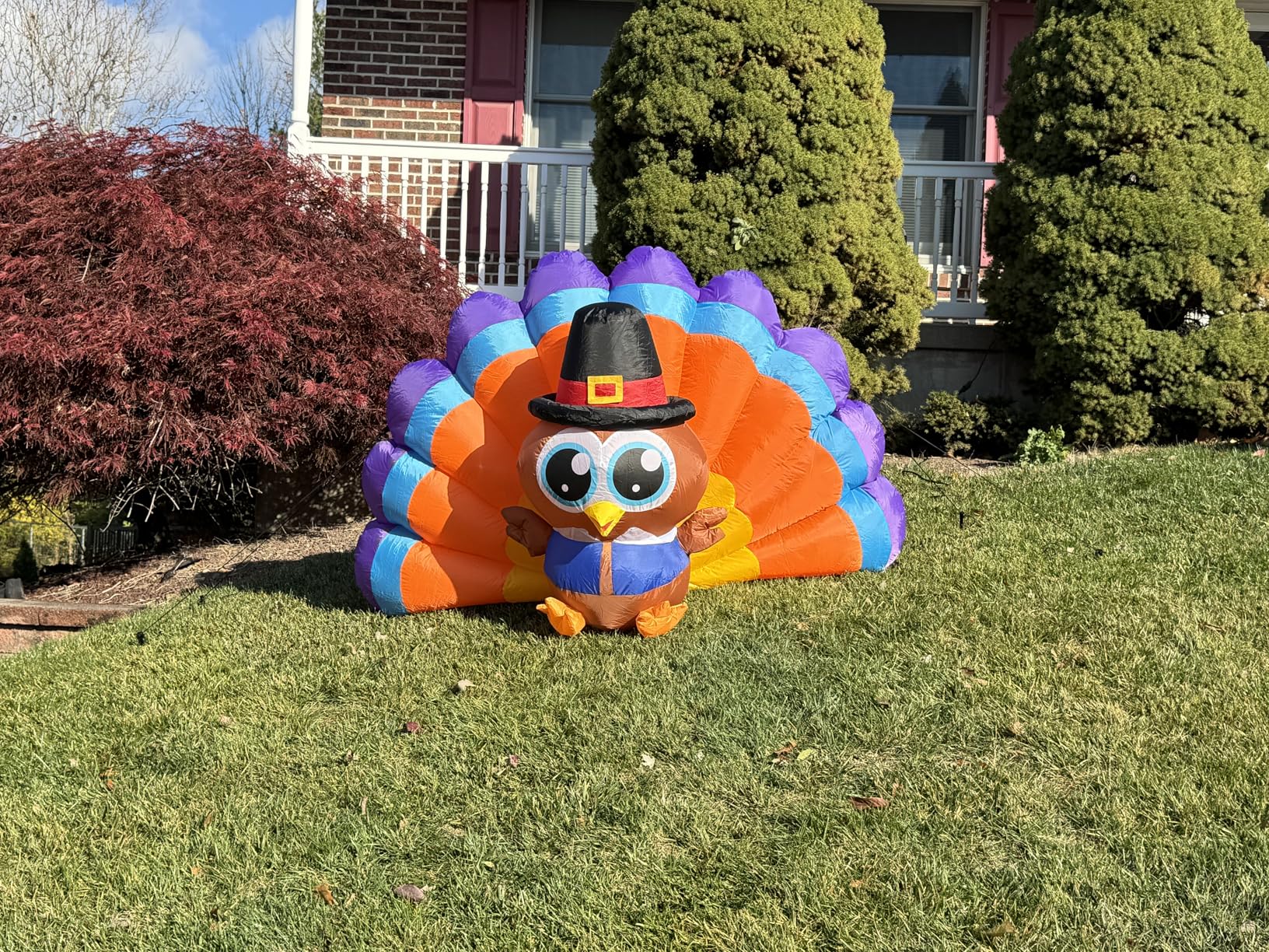6FT Thanksgiving Inflatables Outdoor Decoration Inflatable Turkey, Built in LED Lights Blow Up Yard Decorations for Fall Holiday Party Garden Lawn Decor customer photo 1