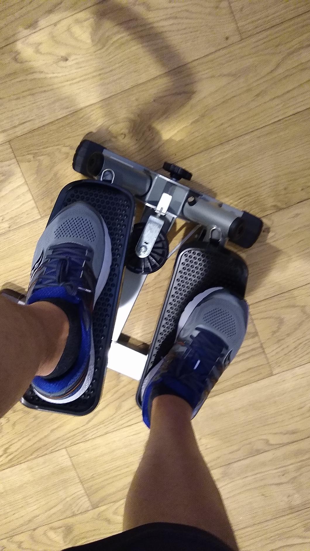 Sunny Health & Fitness Smart Power Stepper with Resistance Bands for Cardio customer photo 2