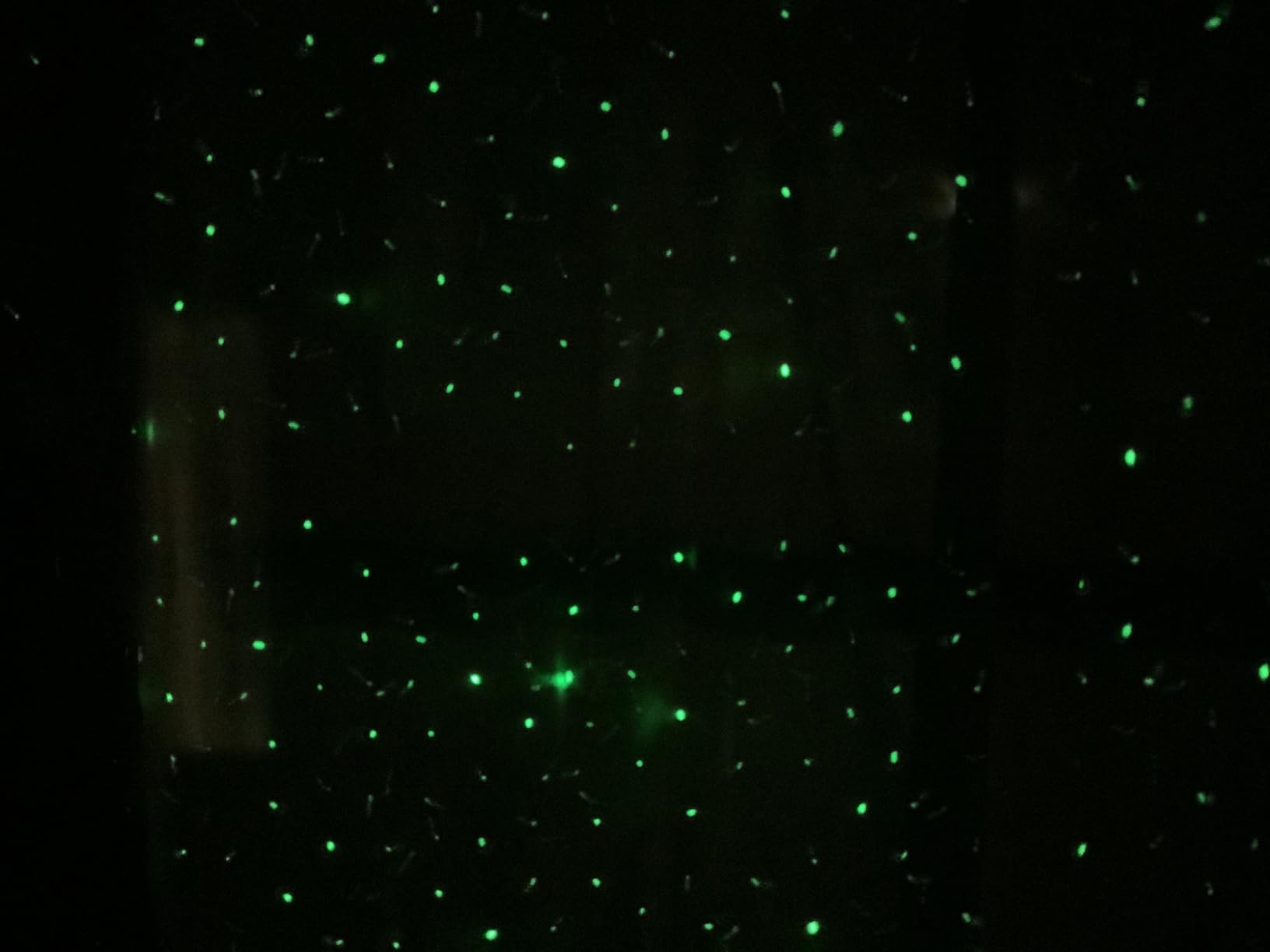 Laser Christmas Projector Lights Outdoor, Firefly Light Show for Trees | 3 Colors, RF Remote, Waterproof, Indoor Holiday Halloween Decoration, Christmas Gift, Wedding, Home Decor, Party, Garden customer photo 2