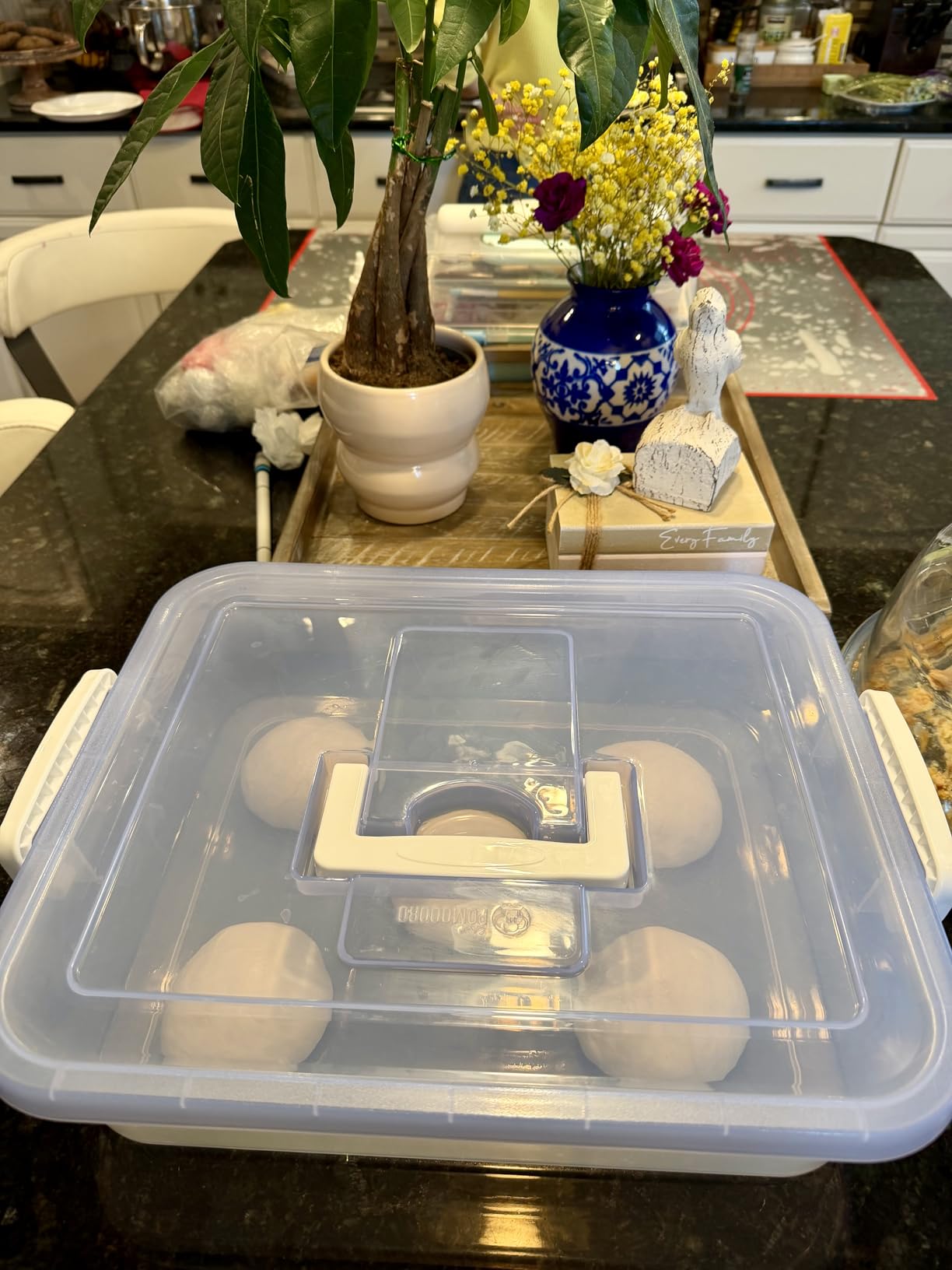 Chef Pomodoro Pizza Proofing Box, 14x11 In, Fits 4-6 Dough Balls, Grey | Stackable ABS Plastic Dough Container customer photo 1