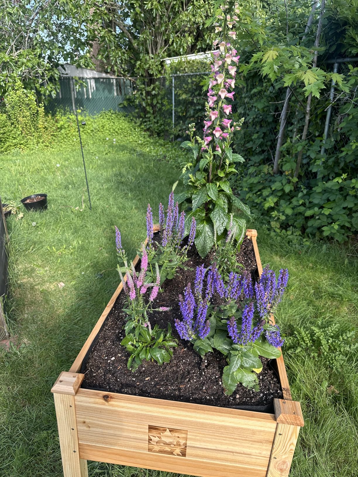 Maple99 Raised Garden Bed with Legs 48x24x30 - Natural Cedar Wood Elevated Planter Box with Bed Liner for Flowers, Veggies, Herbs - 200lb Capacity customer photo 1