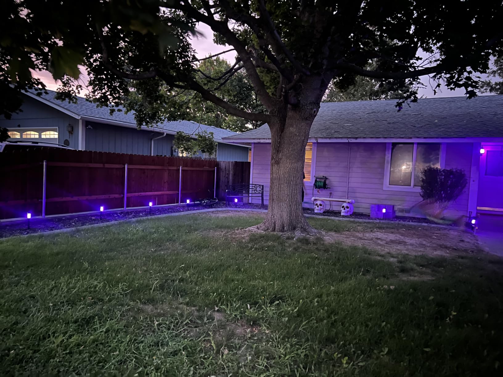 Dynaming 6 Pack Solar Flame Torch Lights Outdoor, Dual Use Flickering Purple Flame Garden Light, Hanging Lantern, Auto On/Off & Waterproof Halloween Lighting for Lawn Patio Yard Walkway Driveway customer photo 2
