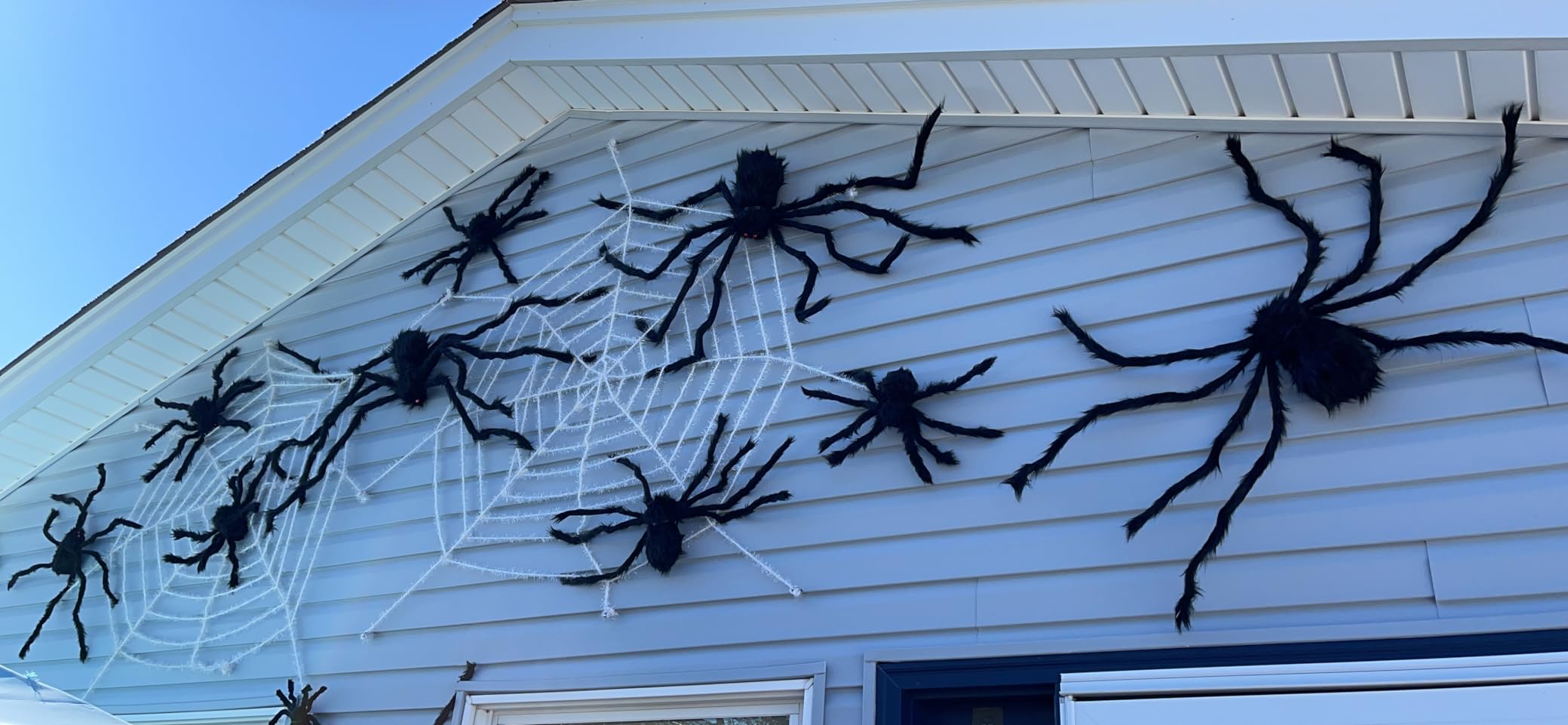 10 PCS Halloween Spider Decor, Assorted Sizes Realistic Hairy Scary Spiders | Large Realistic Halloween Spider Props for Indoor, Outdoor Yard & Horror Themed Party Decor customer photo 2