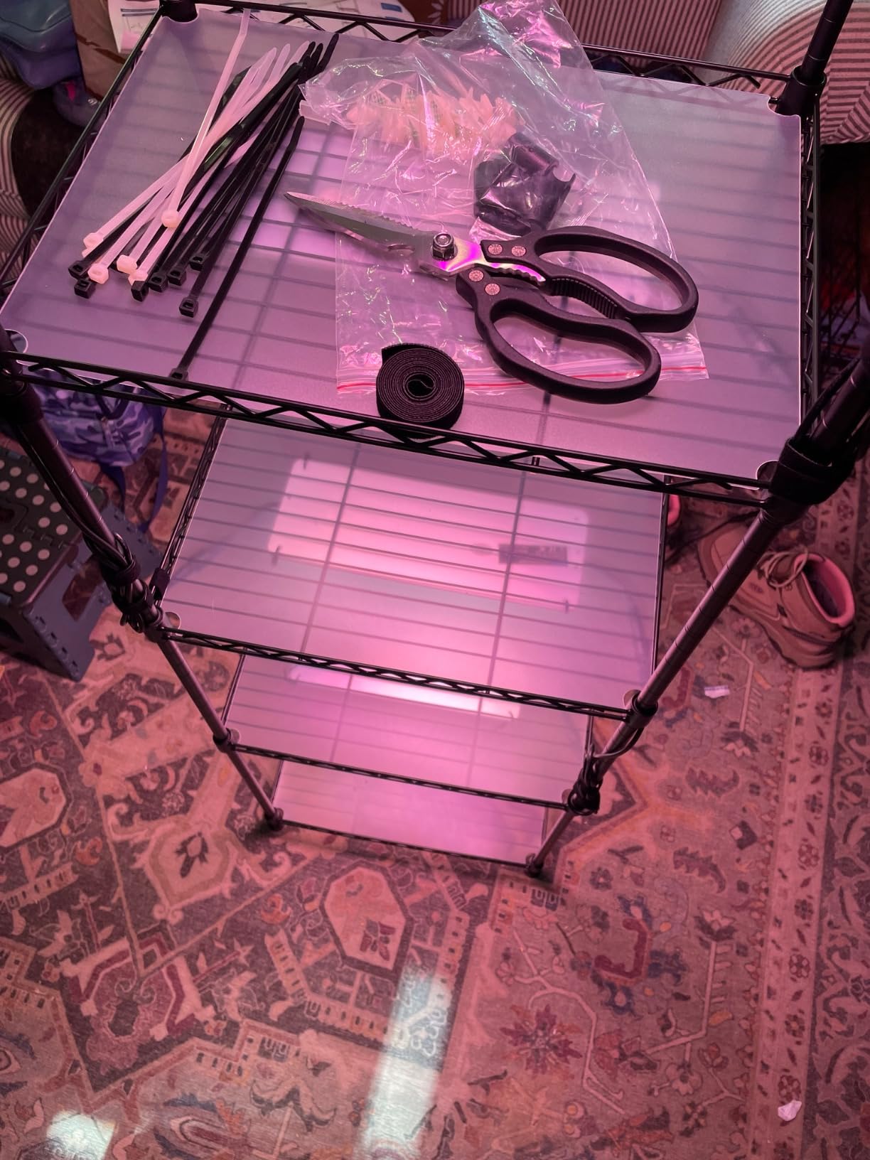 Barrina CX83 Plant Stand with Grow Lights, 6-Tier Shelf, 50W Ultra-Thin Grow Light Panels, 3/6/12h Auto Timer customer photo 1