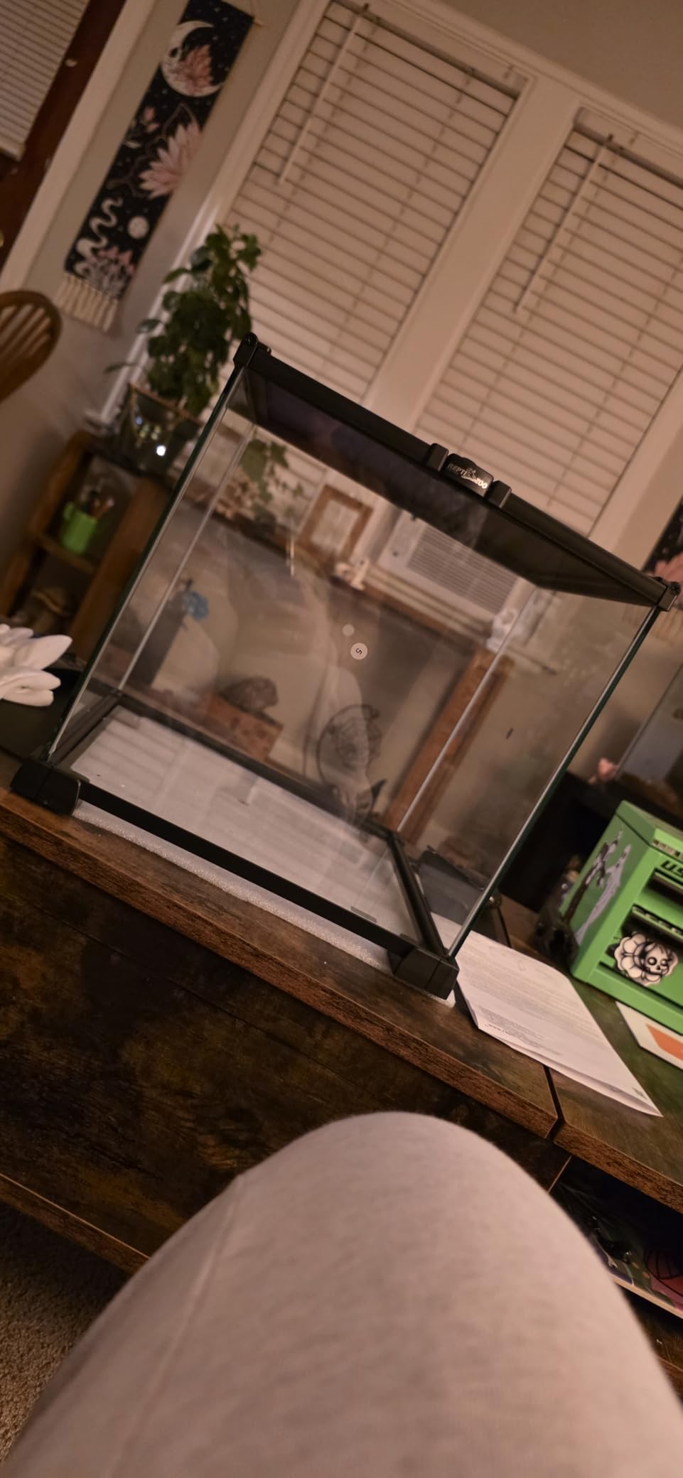 REPTI ZOO Full Glass 15 Gallon Reptile Tank, Medium Reptile Terrarium 24