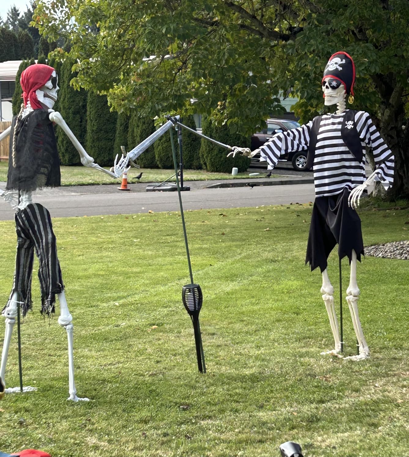 5.4ft Halloween Life Size Pirate Skeleton Realistic Human Full Body Skeleton Props with Movable Joints for Halloween Decoration Haunted House Indoor Outdoor Décor (Pirate Style) customer photo 1