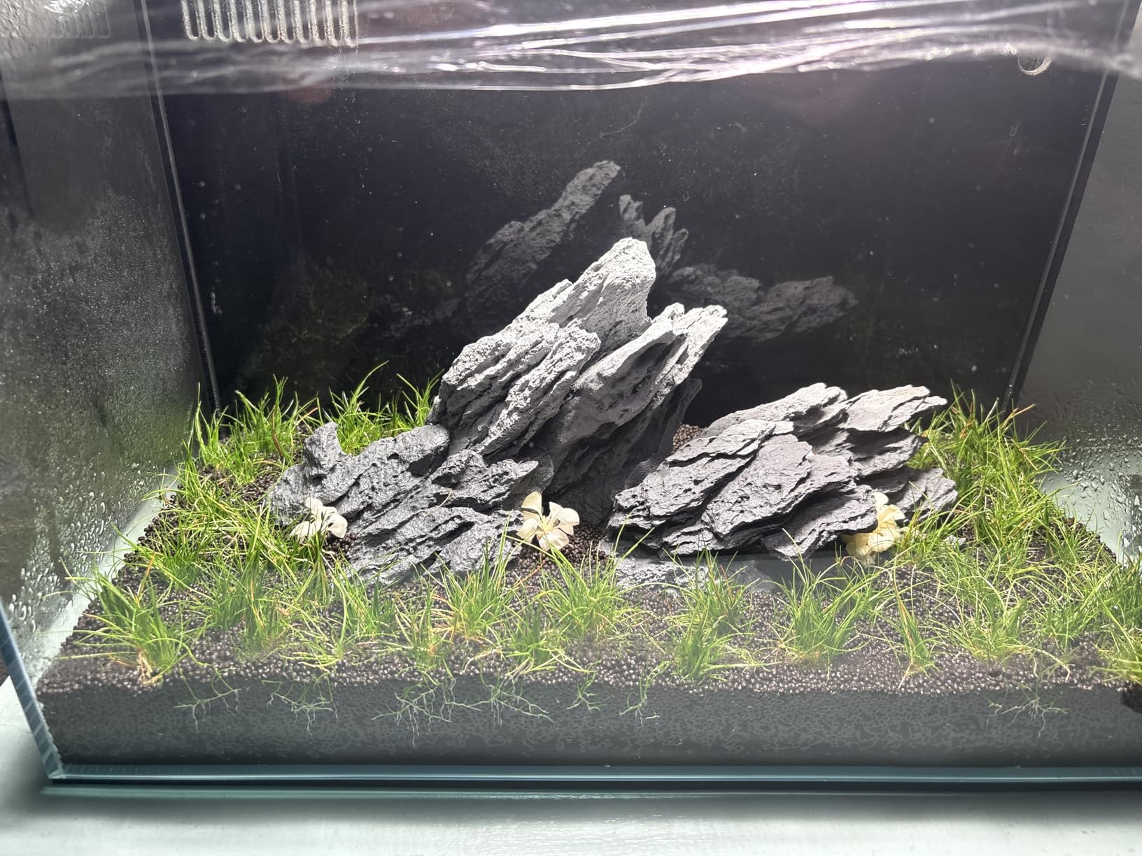 FZONE Resin Seiryu Stone Model Ph-Neutral Aquarium Rocks for aquascaping, Micro-Landscapes customer photo 1