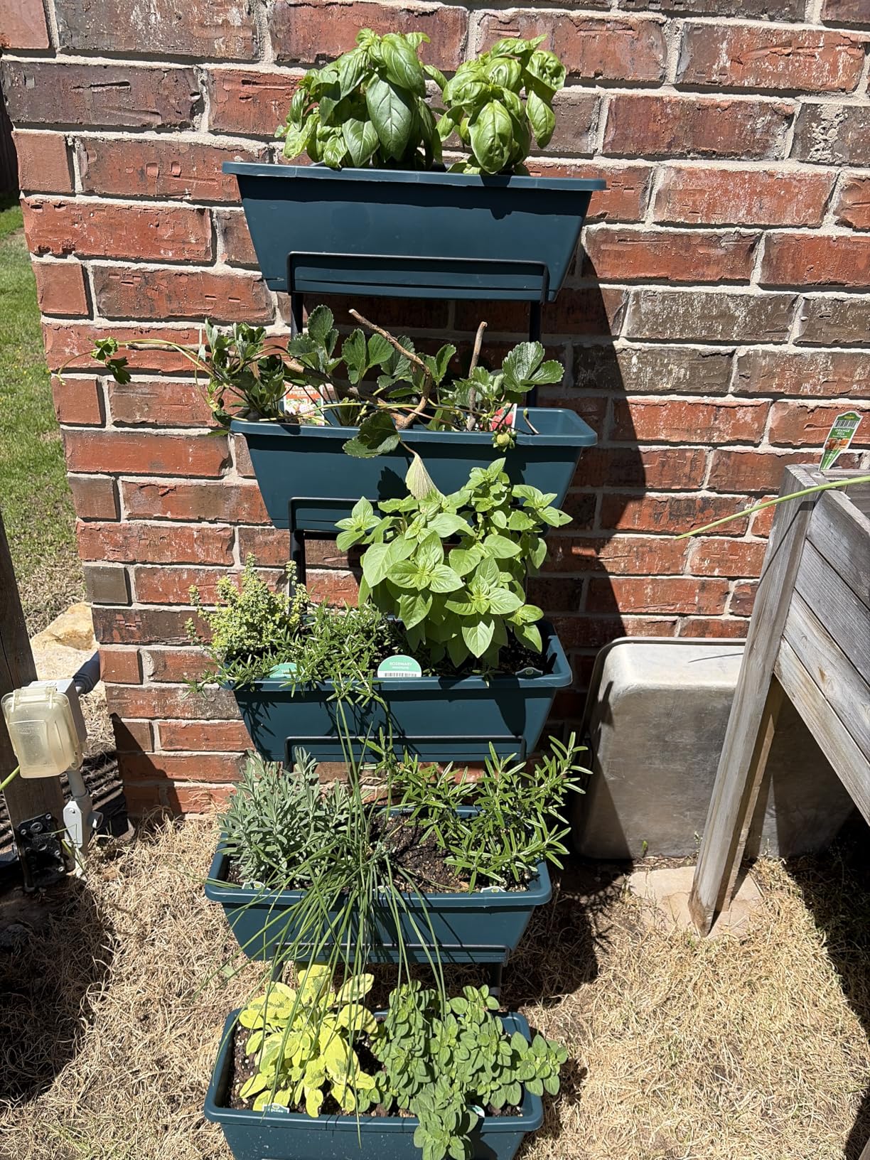 5 Tier Vertical Raised Garden Bed Planter Box, Vertical Raised Bed with Drainage Holes for Indoor Outdoor Herbs Flowers Vegetables Plants, Black customer photo 1