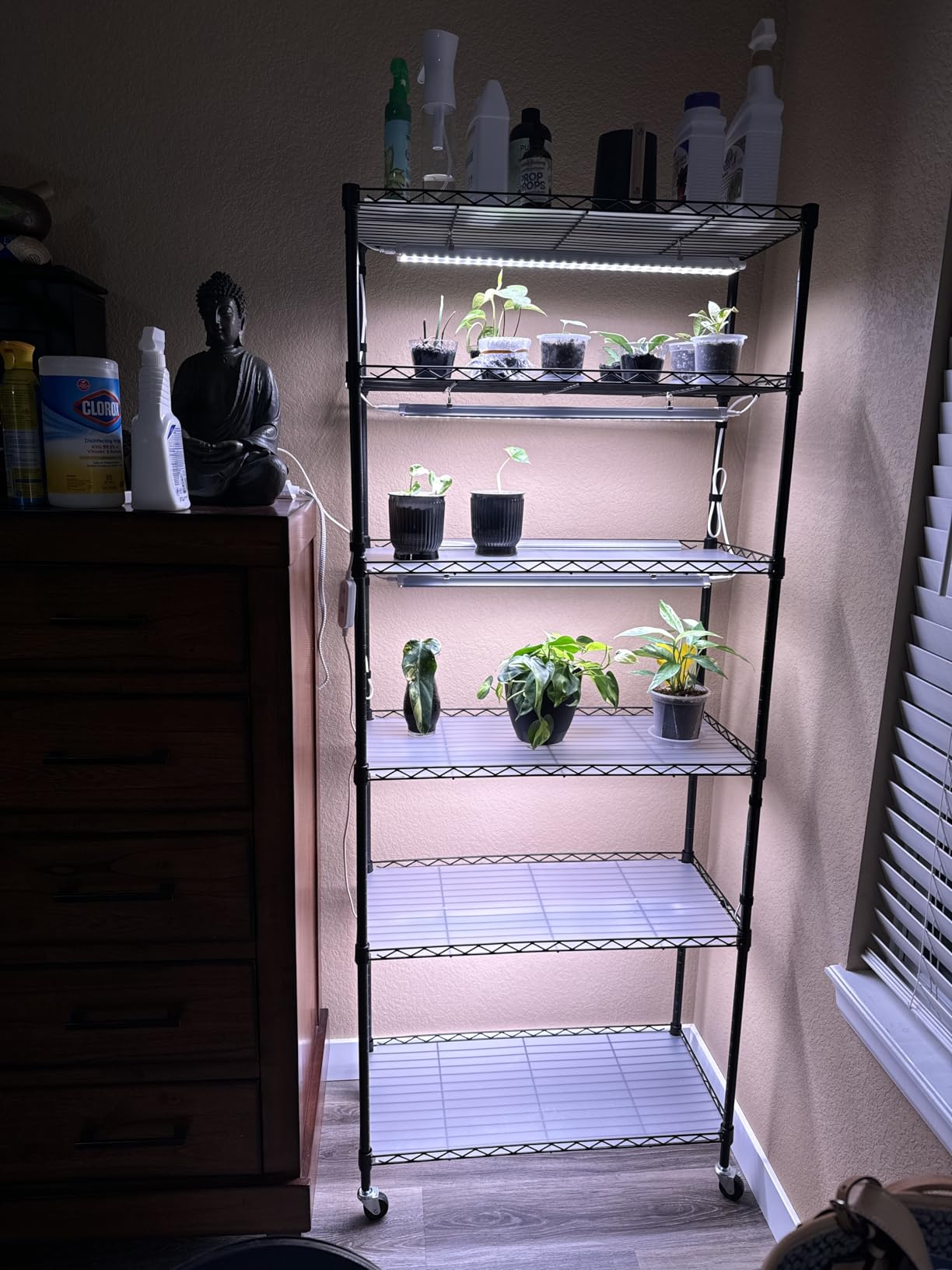Barrina CX2 Plant Stand with Grow Lights, 6-Tier, 150W, 29.5x13.8x71IN | 5PCS 2FT Full Spectrum Plant Lights, Metal Plant Shelf Display Rack, 3 Adjustable Spectrum, Timer, Wheel, for Seed Starting customer photo 2